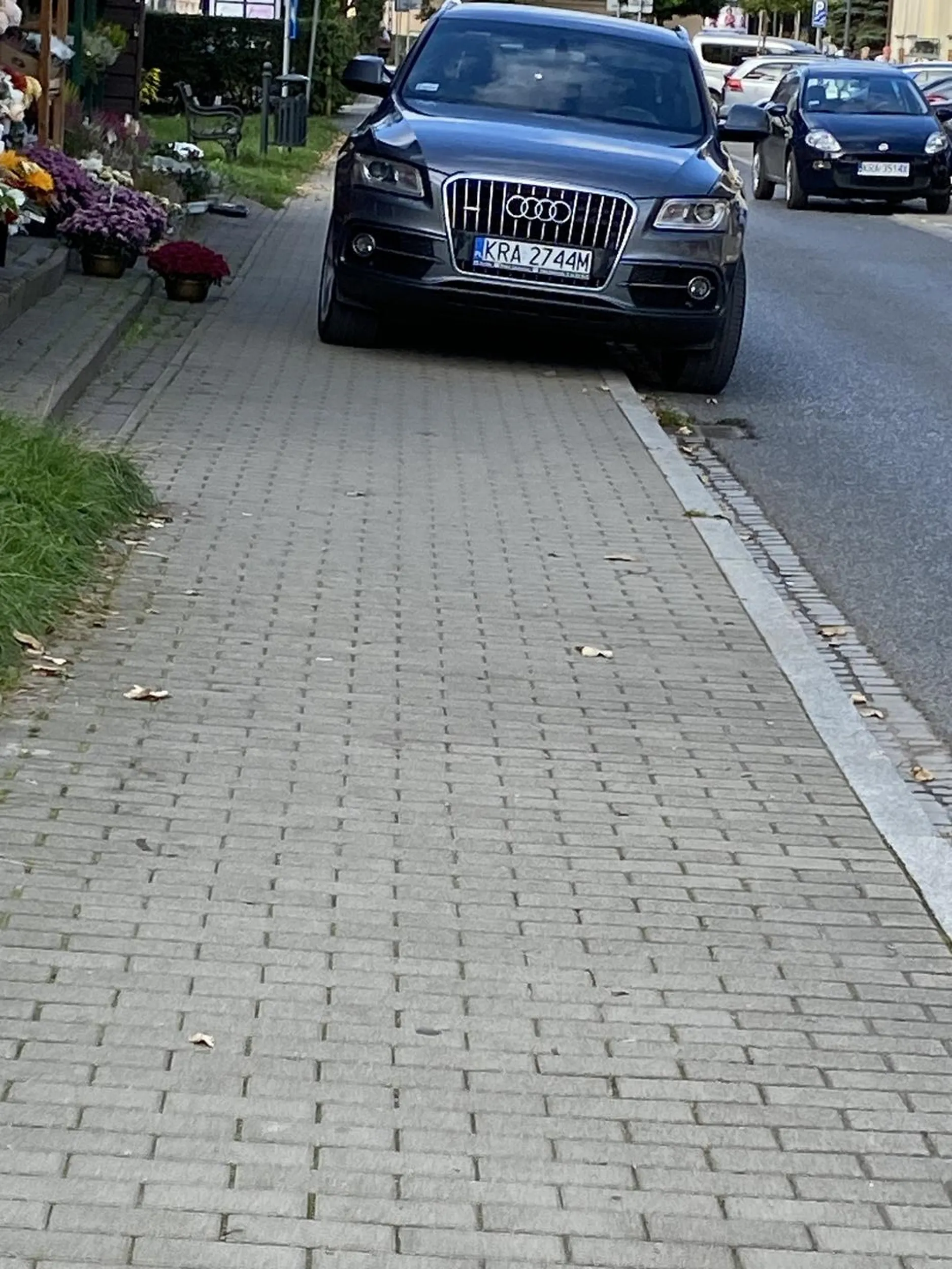 Nie umie najwidoczniej zaparkowac pomiedzy samochodami wiec musi zajac caly chodnik