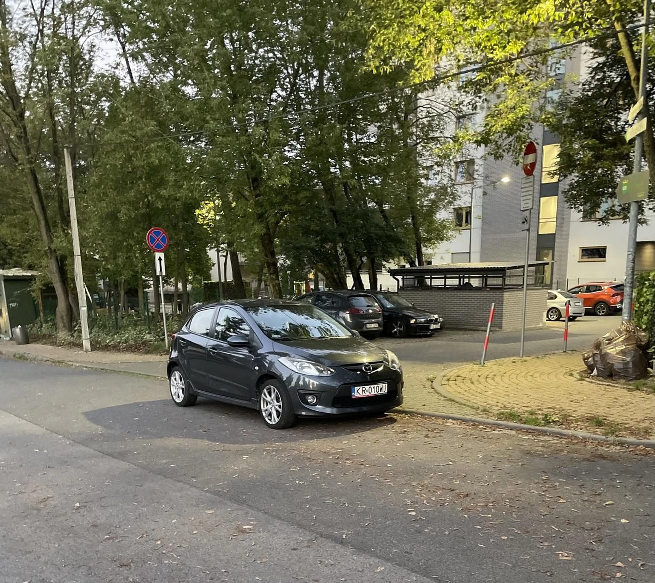 Krowa zostawiająca wjazd na osiedle.