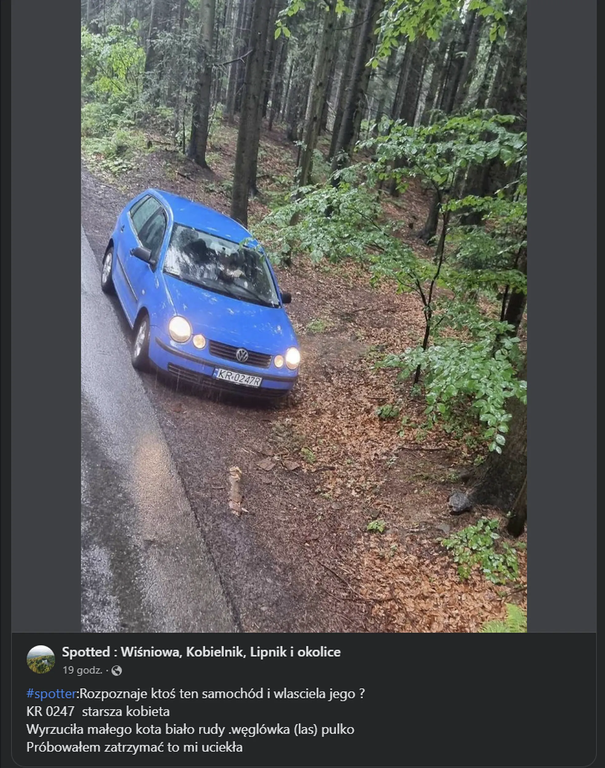 Stara raszpla wywaliła kota do lasu, nakryta na gorącym uczynku zwyczajnie uciekła.