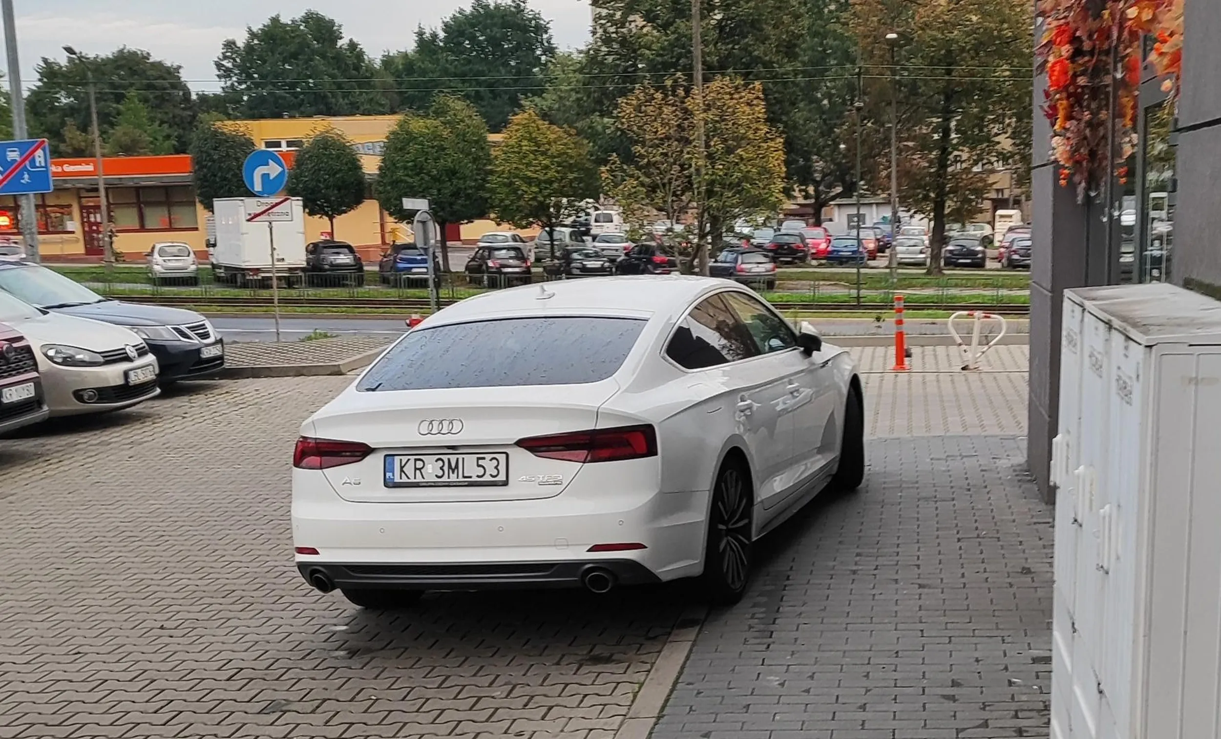 Nigdy się nie nauczy. Policja oczywiście nic nie reaguje. Jak można być taką szują?