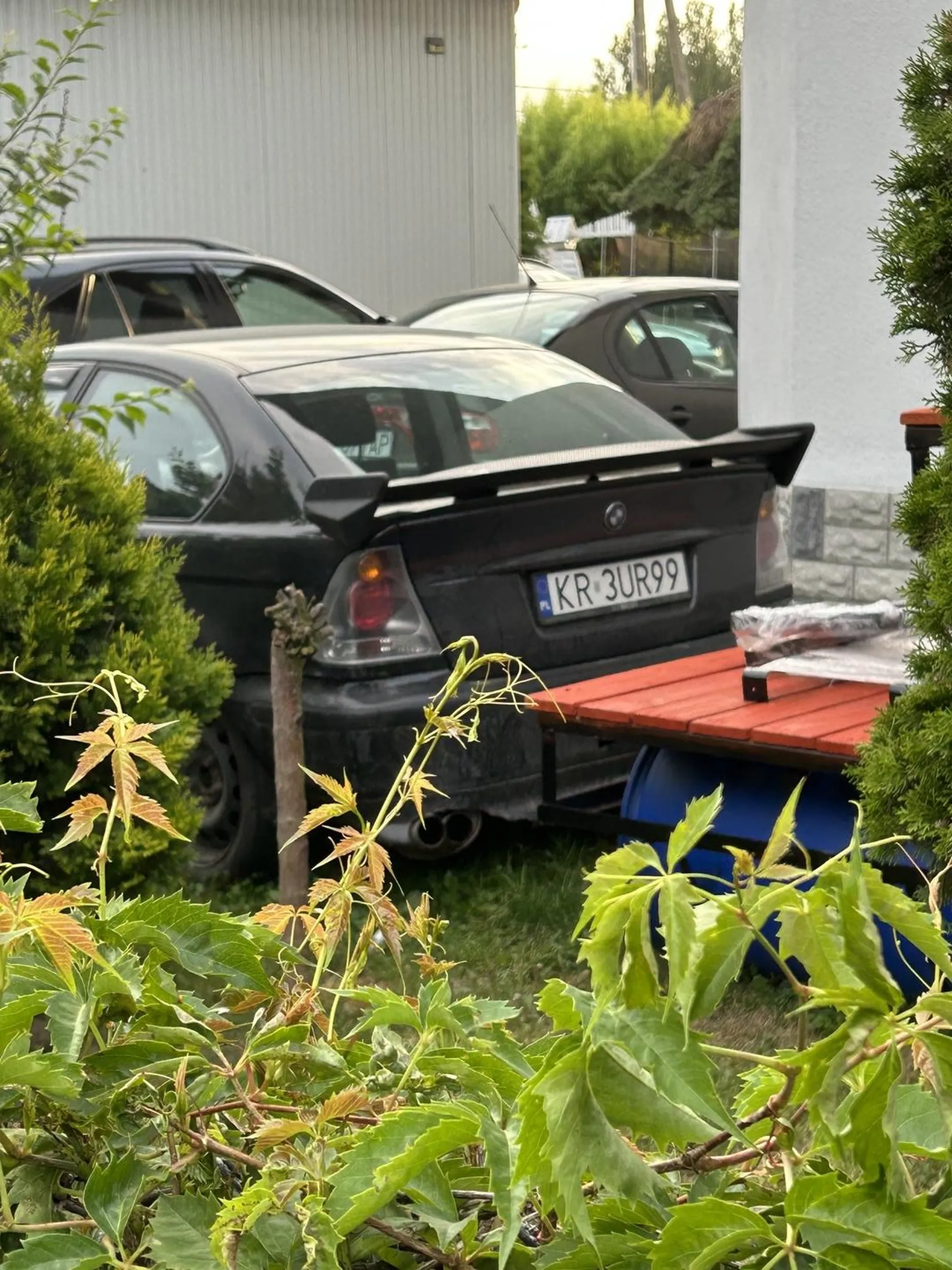 smieszny spoiler, ogolem koks gruzik