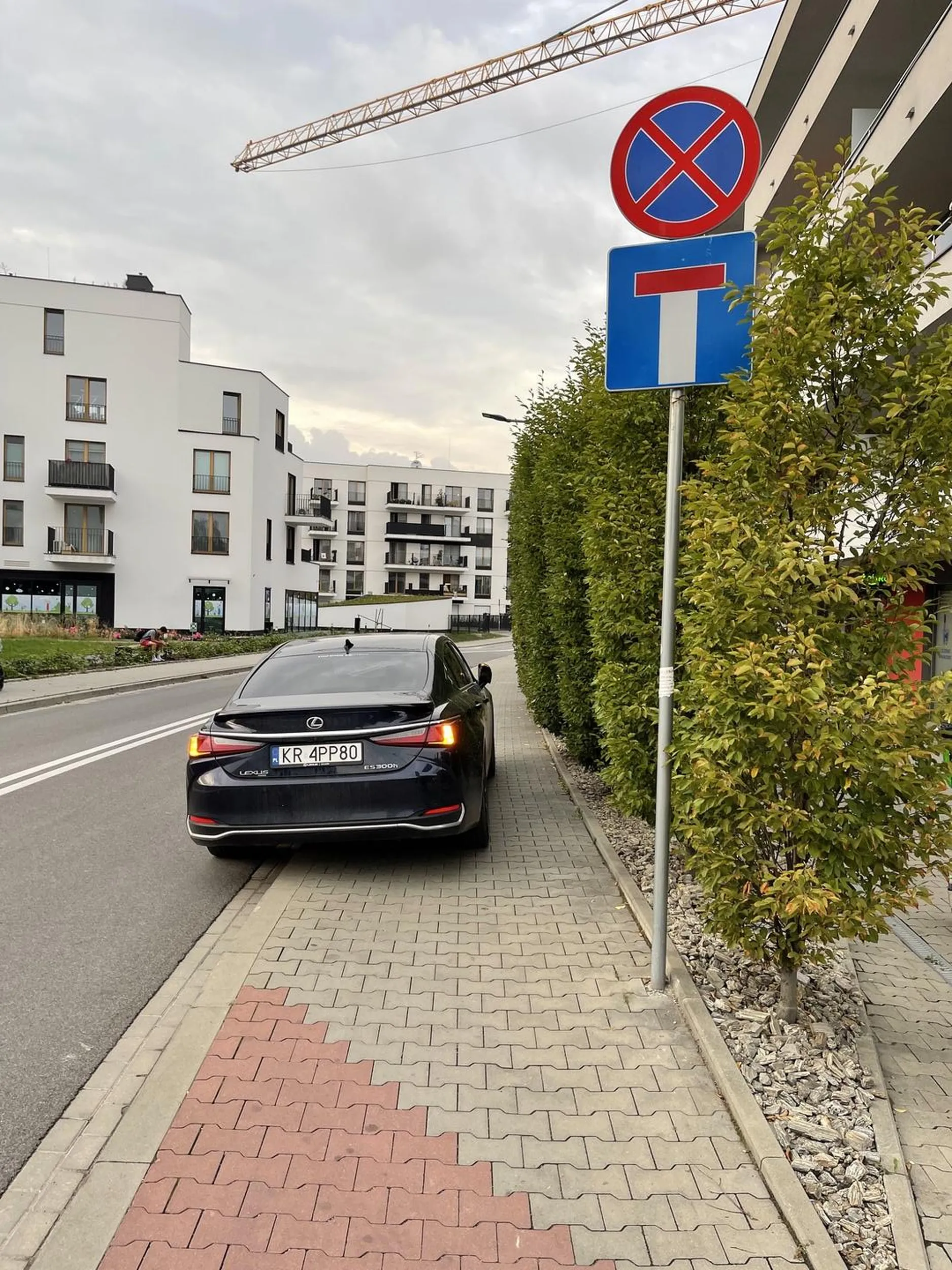 Prawo jazdy z chipsow, parkowac niestety nie nauczylo :(