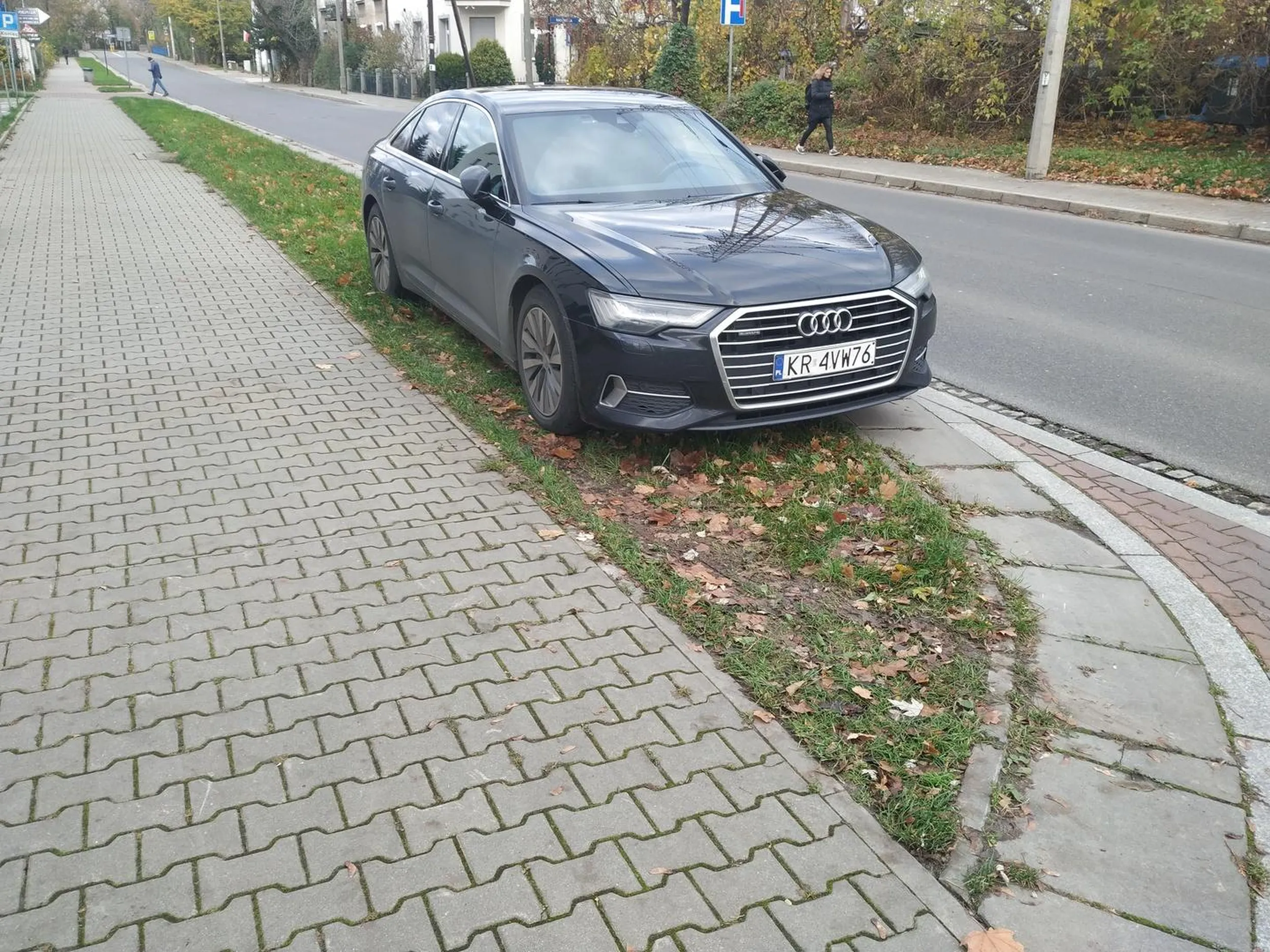 Parkuje na trawniku niszcząc zieleń.