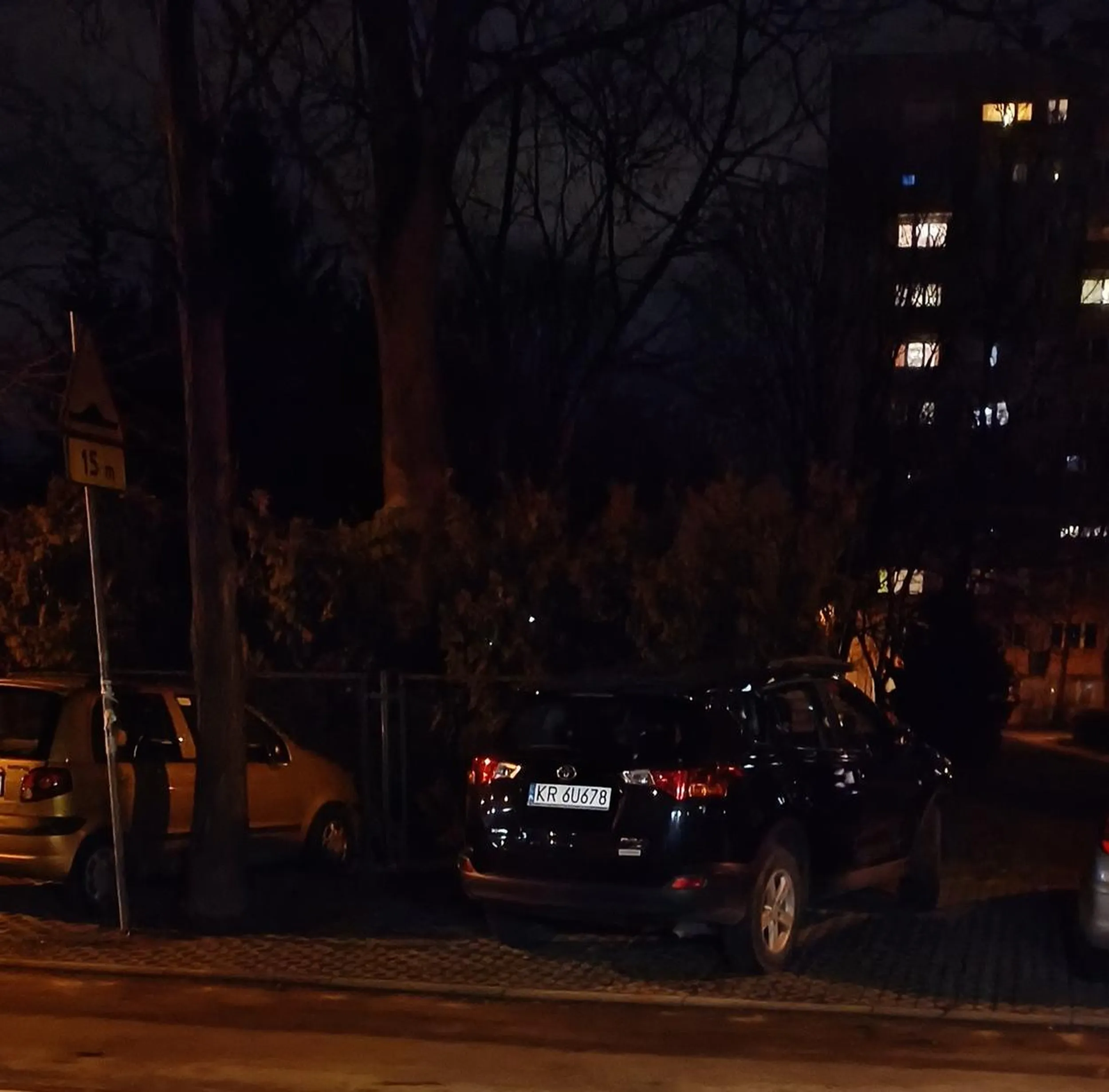 Naucz się parkować