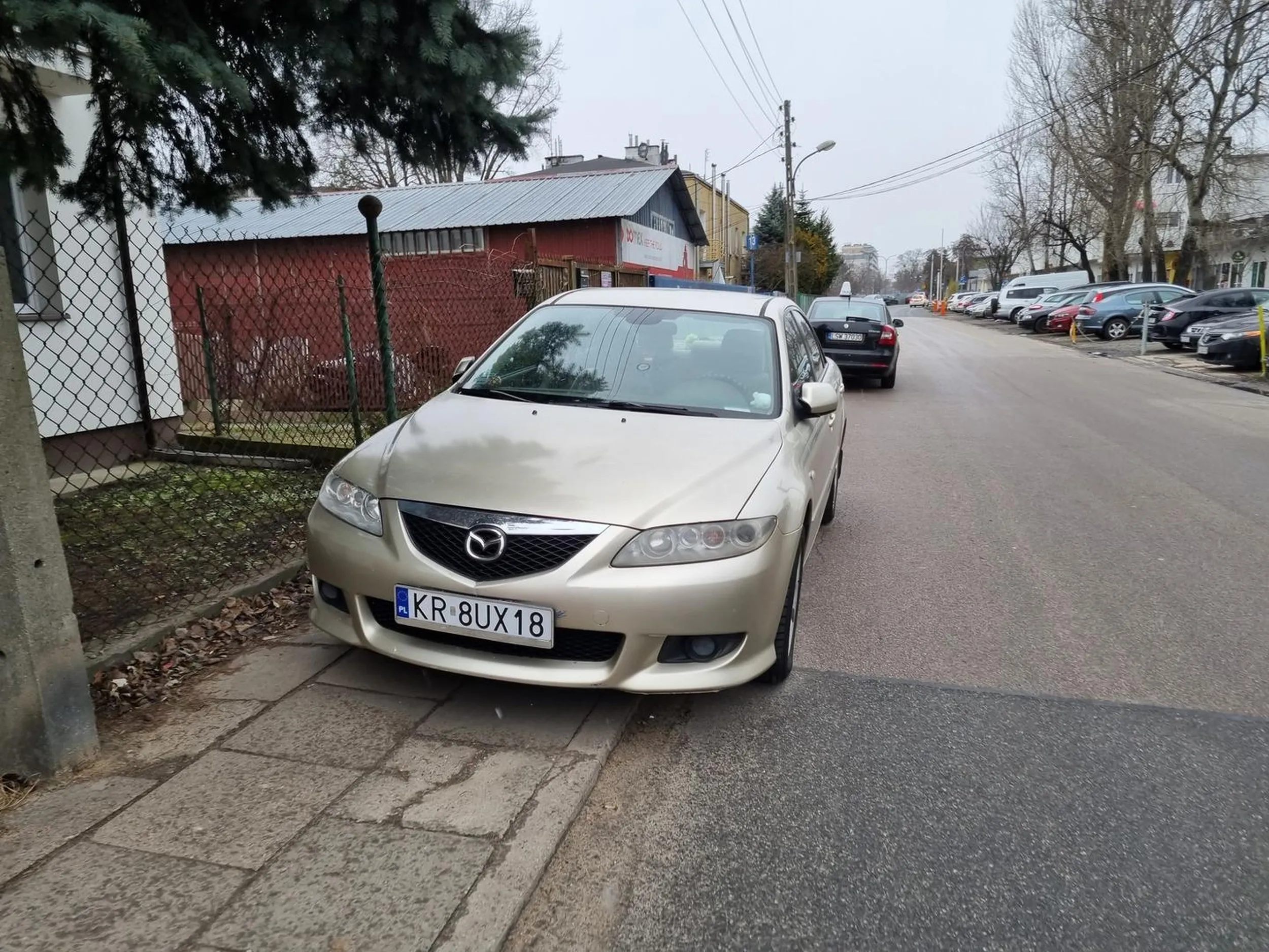 Piesi na chodnikach? Nie słyszałem, zaparkuje sobie.