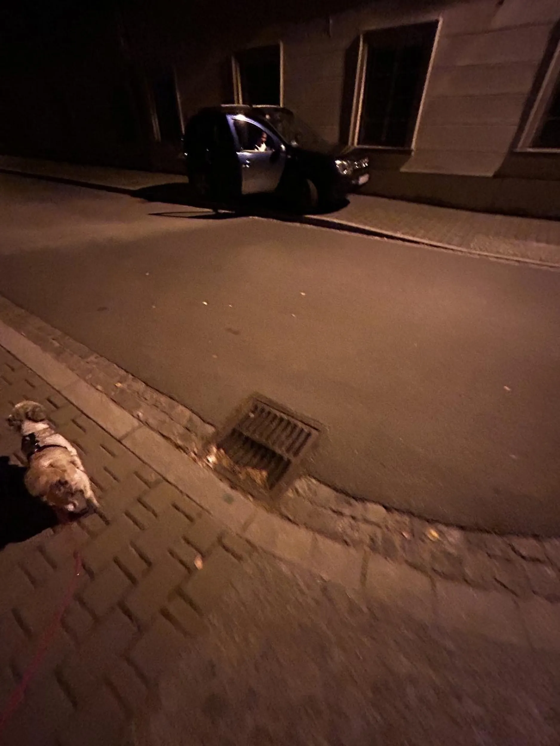 Piękne parkowanie na cały chodnik, Pan był chyba tak zauroczony towarzyszką, ze zapomniał o zostawieniu 1,5m na chodniku dla przechodniów, brawo.