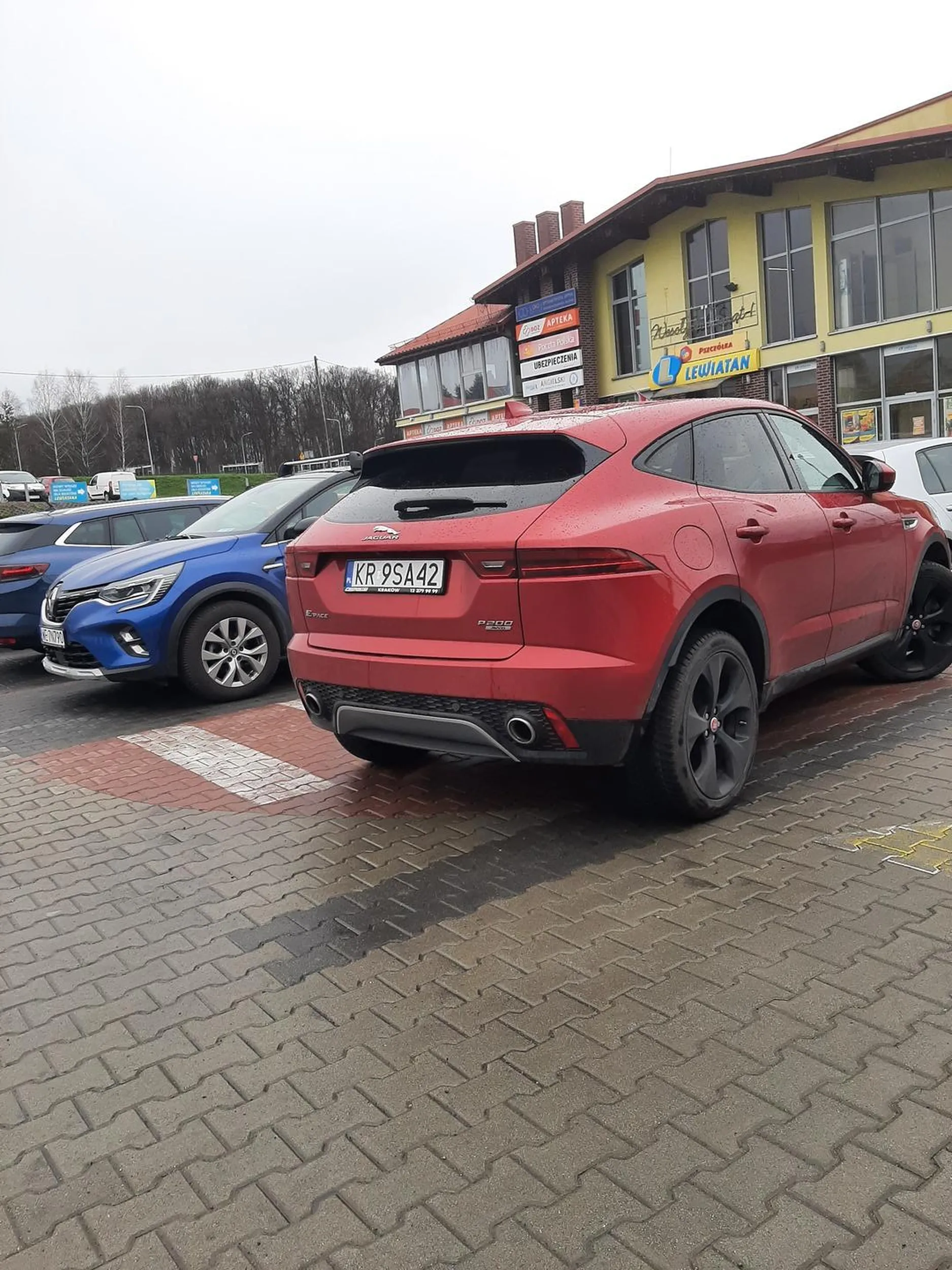 Mistrzowni parkowanie ☠