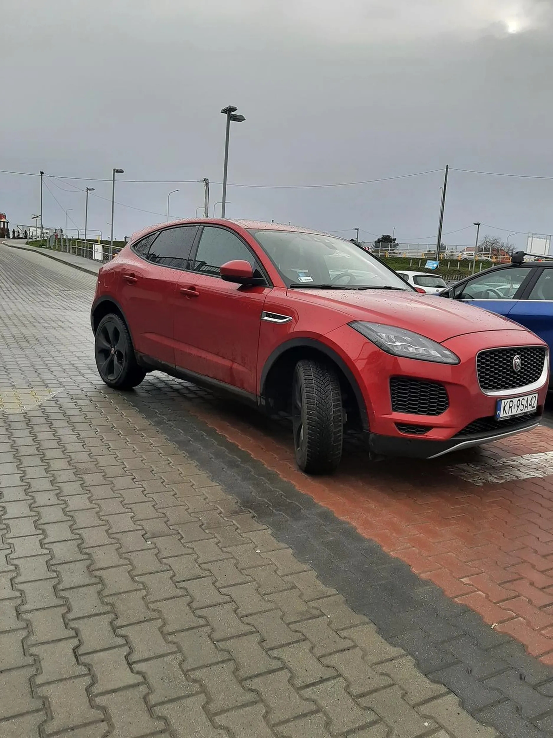 Mistrzowni parkowanie ☠