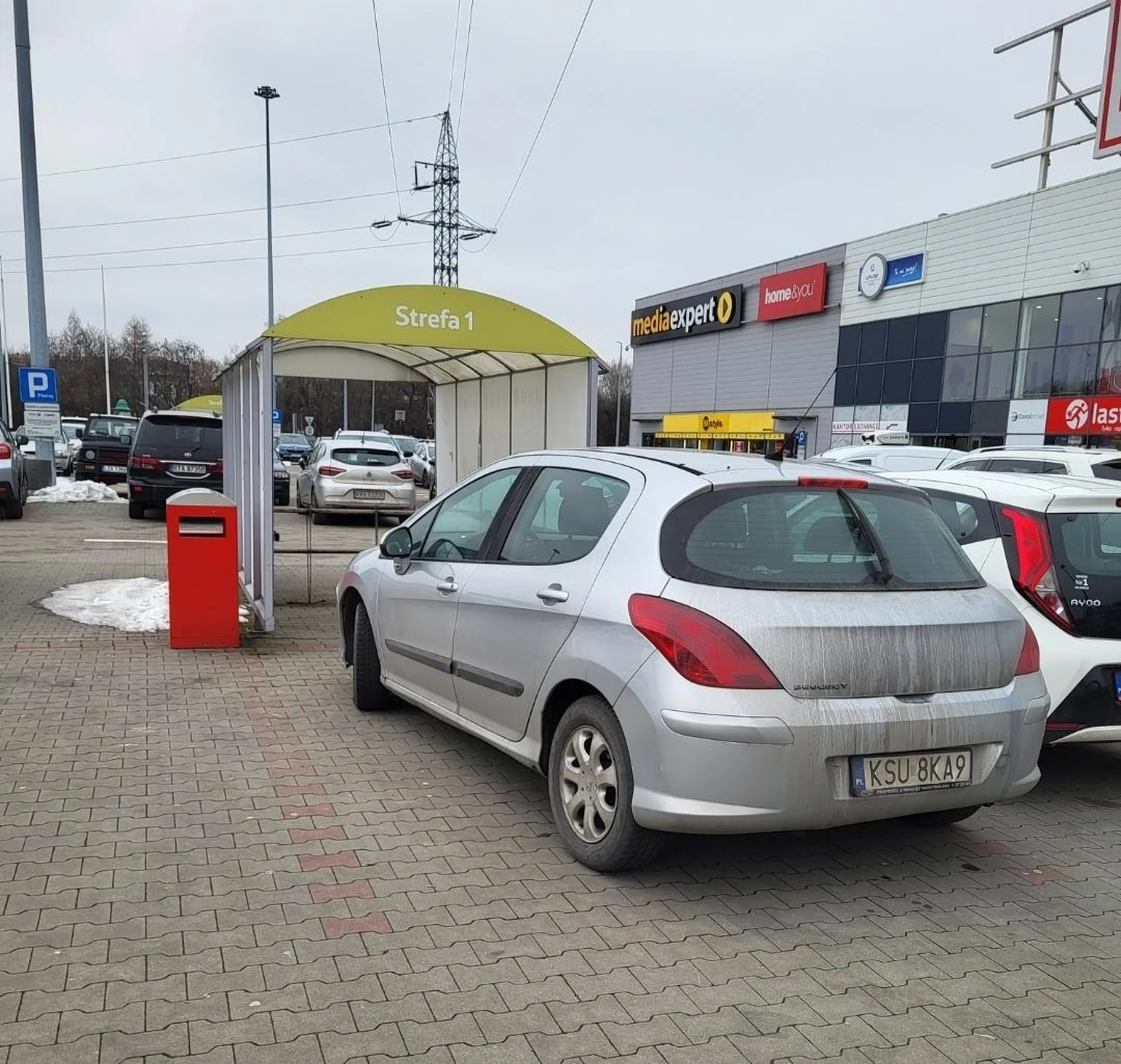 Buc blokuje wiatę na wózki na pustym w połowie parkingu