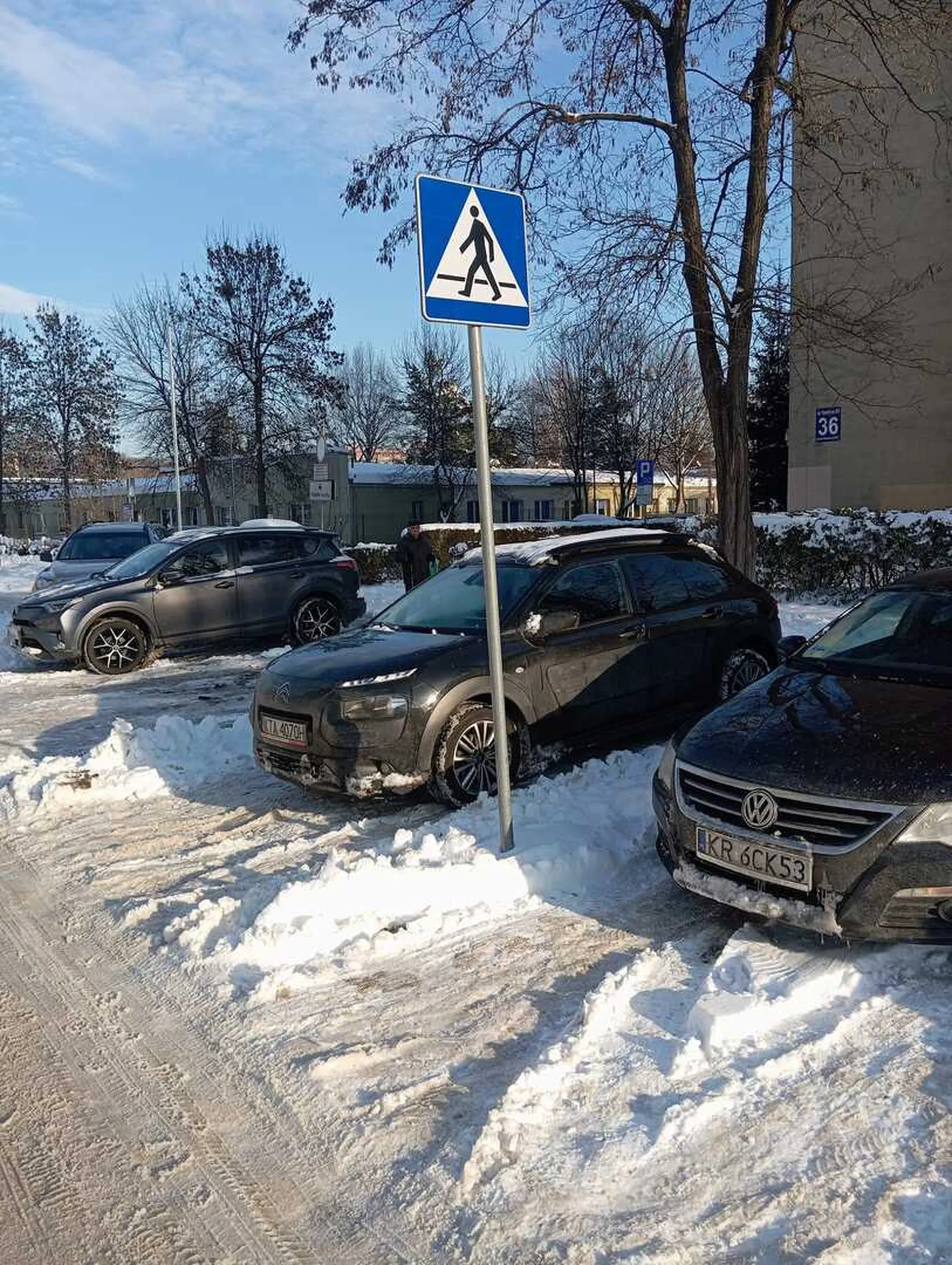 Kretyn parkuje na przejściu dla pieszych
