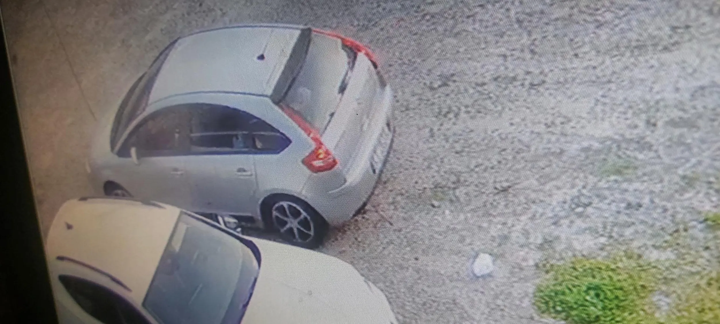 Brudasy. Zostawiają po sobie zużyte pampersy. Widać w domu robią to samo bo kulture się wynosi właśnie z domu. Nie życzę nikomu takich gości. Omijać szerokim łukiem. Śmieciarze