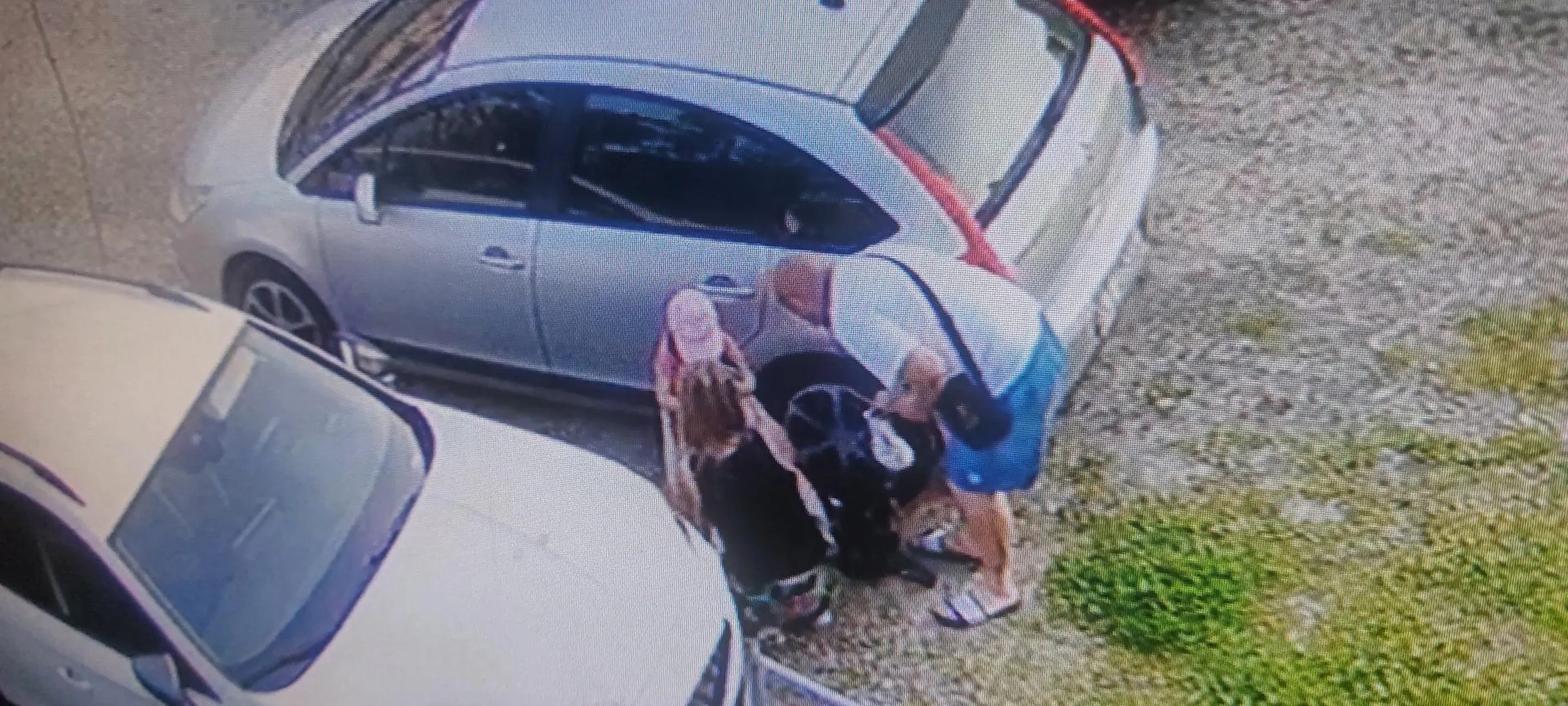 Brudasy. Zostawiają po sobie zużyte pampersy. Widać w domu robią to samo bo kulture się wynosi właśnie z domu. Nie życzę nikomu takich gości. Omijać szerokim łukiem. Śmieciarze