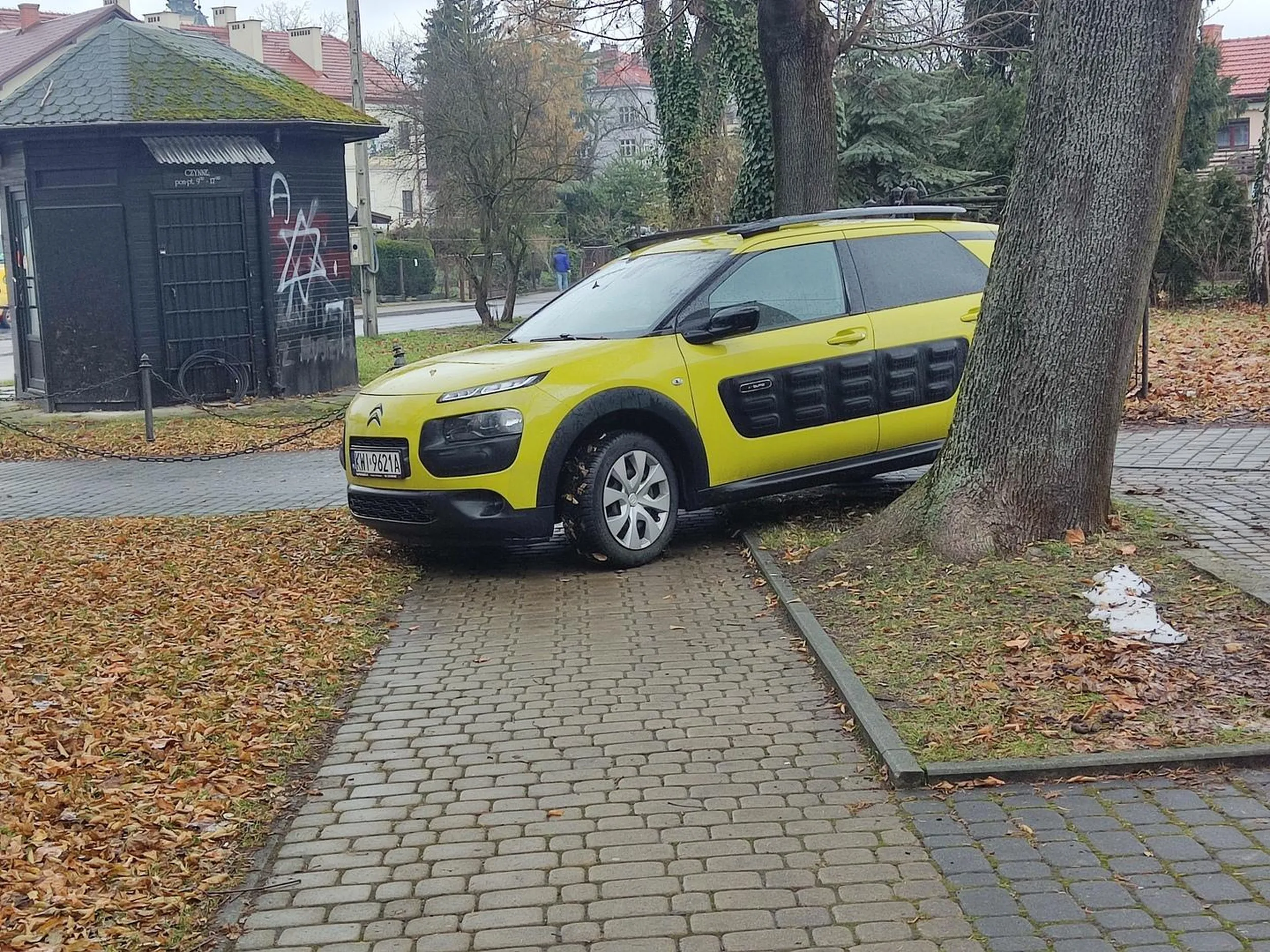 Głupia cipo! Naucz się parkować.