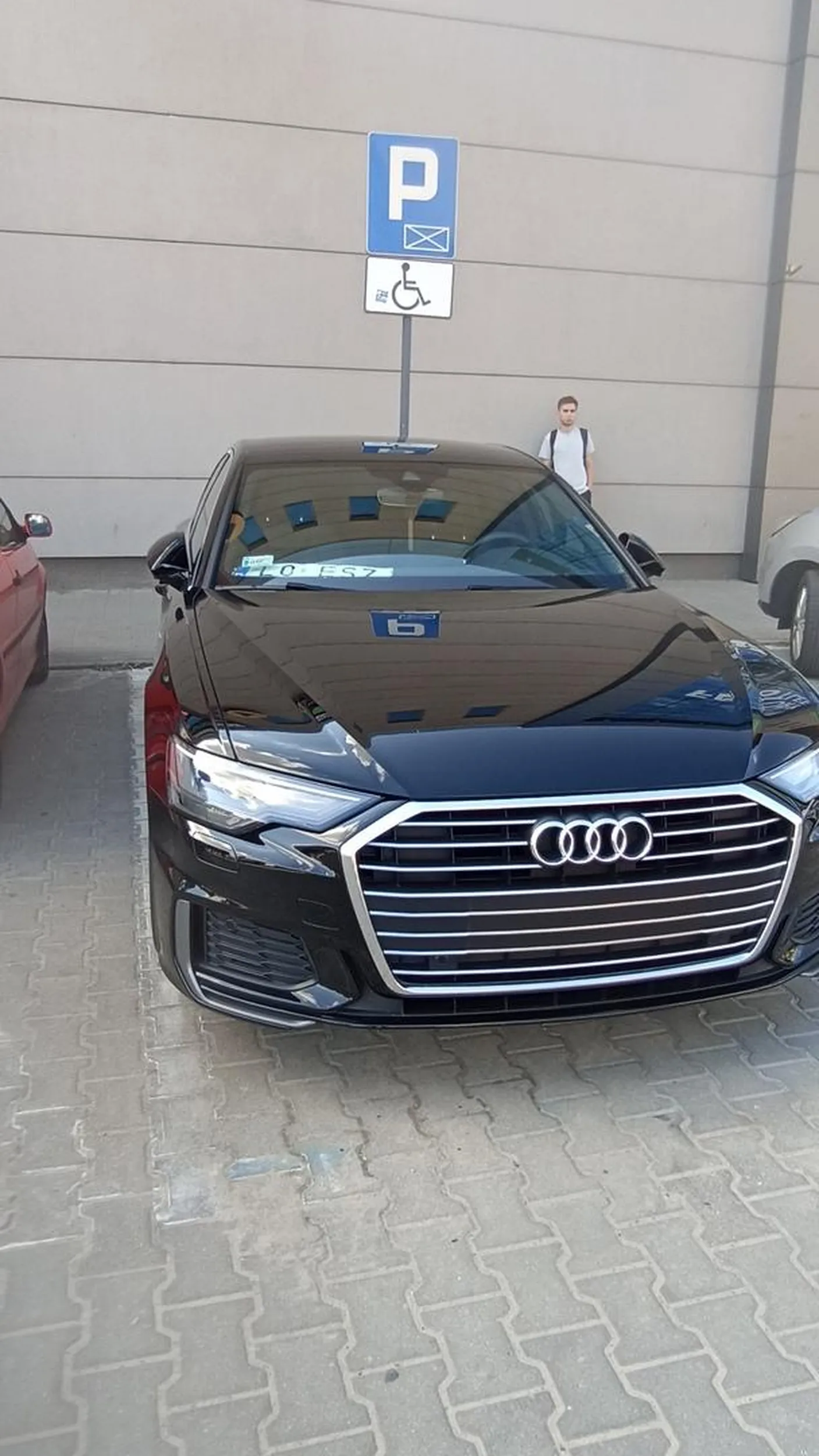 Właściciel faktycznie niepełnosprawny... umysłowo