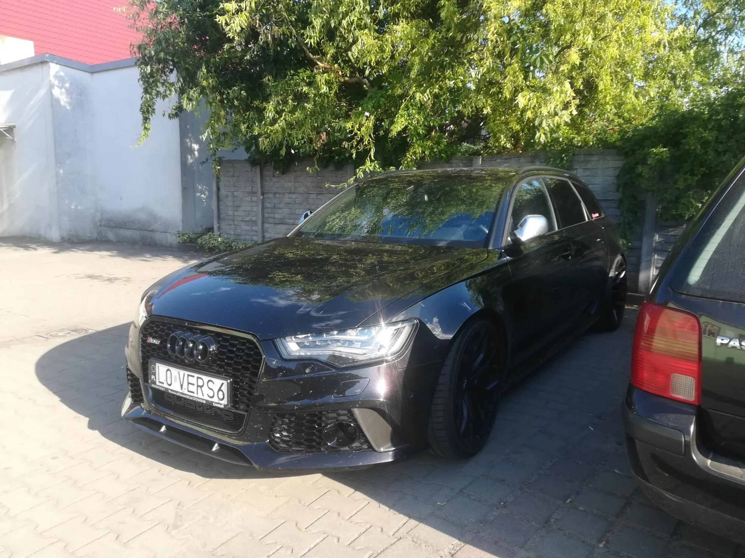 Zarombistych typ znam go od 3 lat