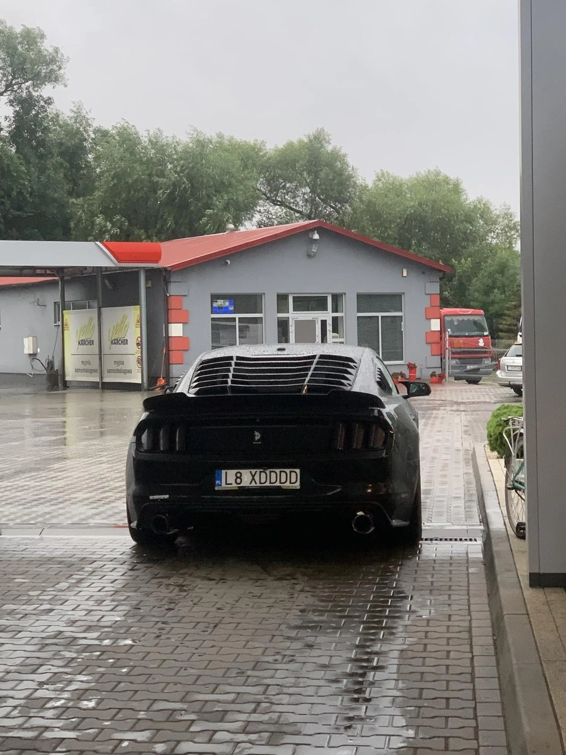 Jeden z najładniejszych i najgłośniejszych mustangów jakie widziałem