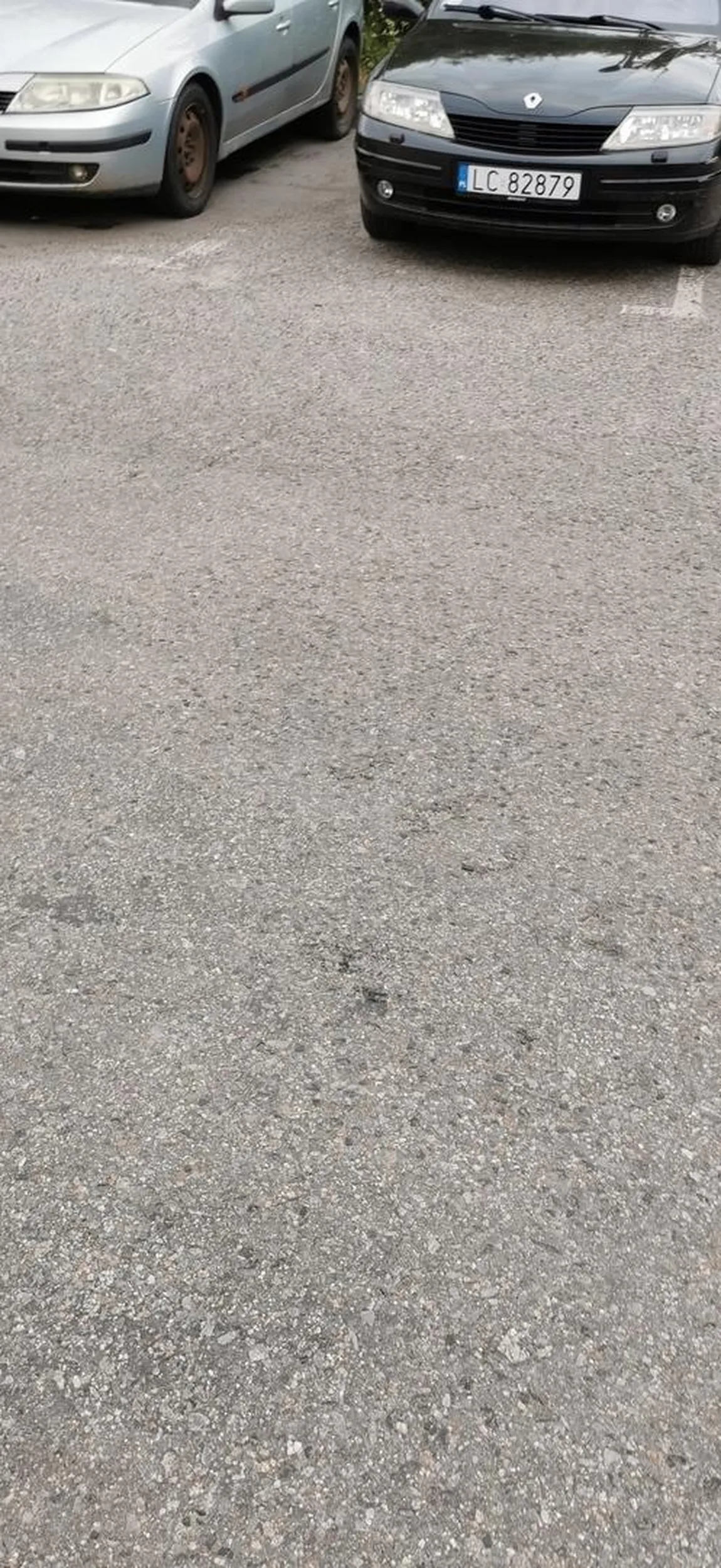 Koło daje złote rady i wyzywał ludzi bo rzekomo źle parkują. Ale sam jest mistrz.