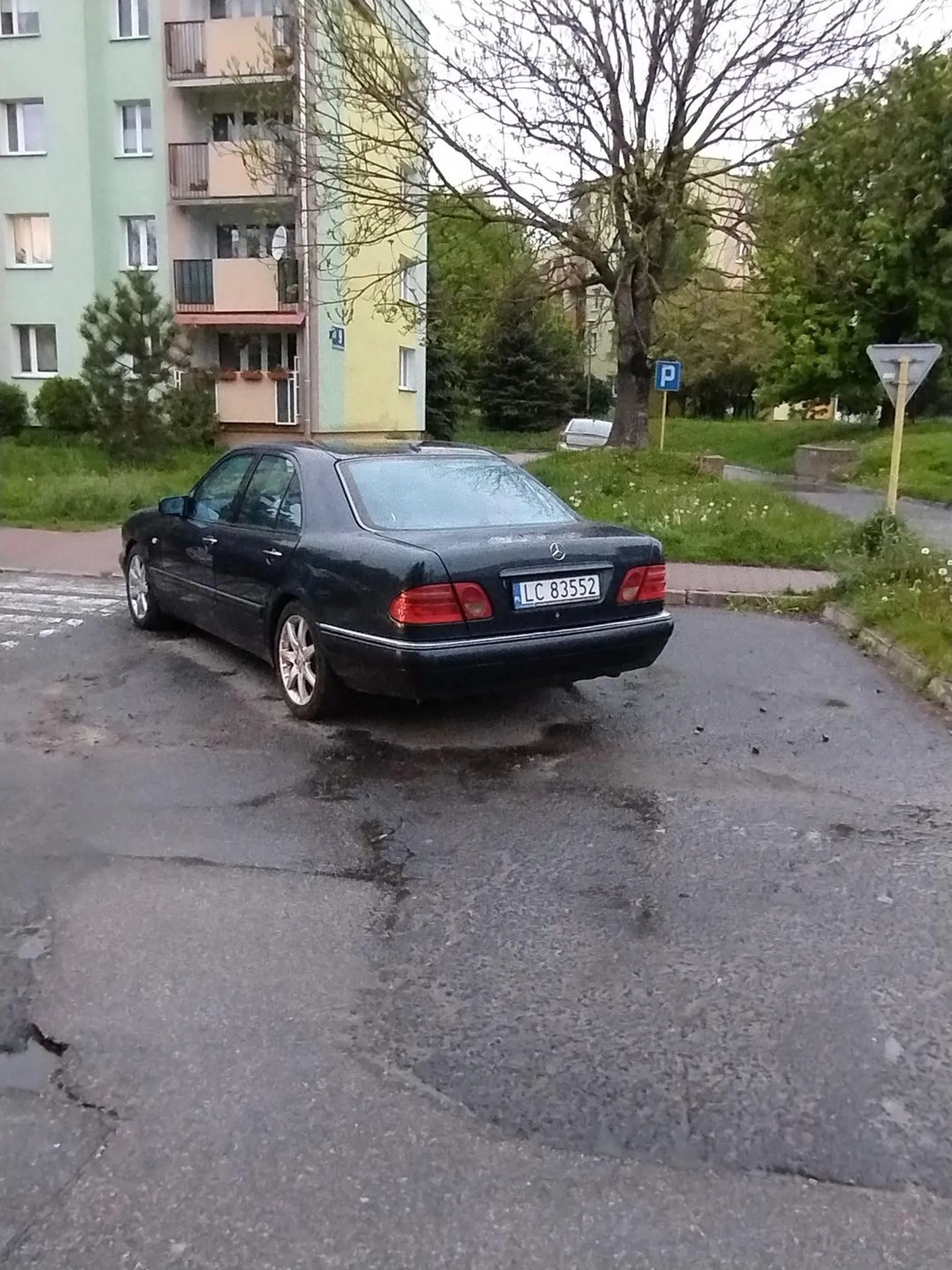 Jakim trzeba być baranim łbem żeby postawić na dwóch miejscach. Chwastów nie sieją ale sami się rodzą