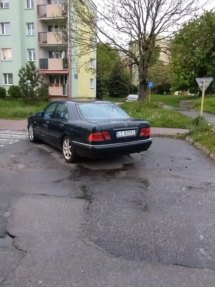 Jakim trzeba być baranim łbem żeby postawić na dwóch miejscach. Chwastów nie sieją ale sami się rodzą