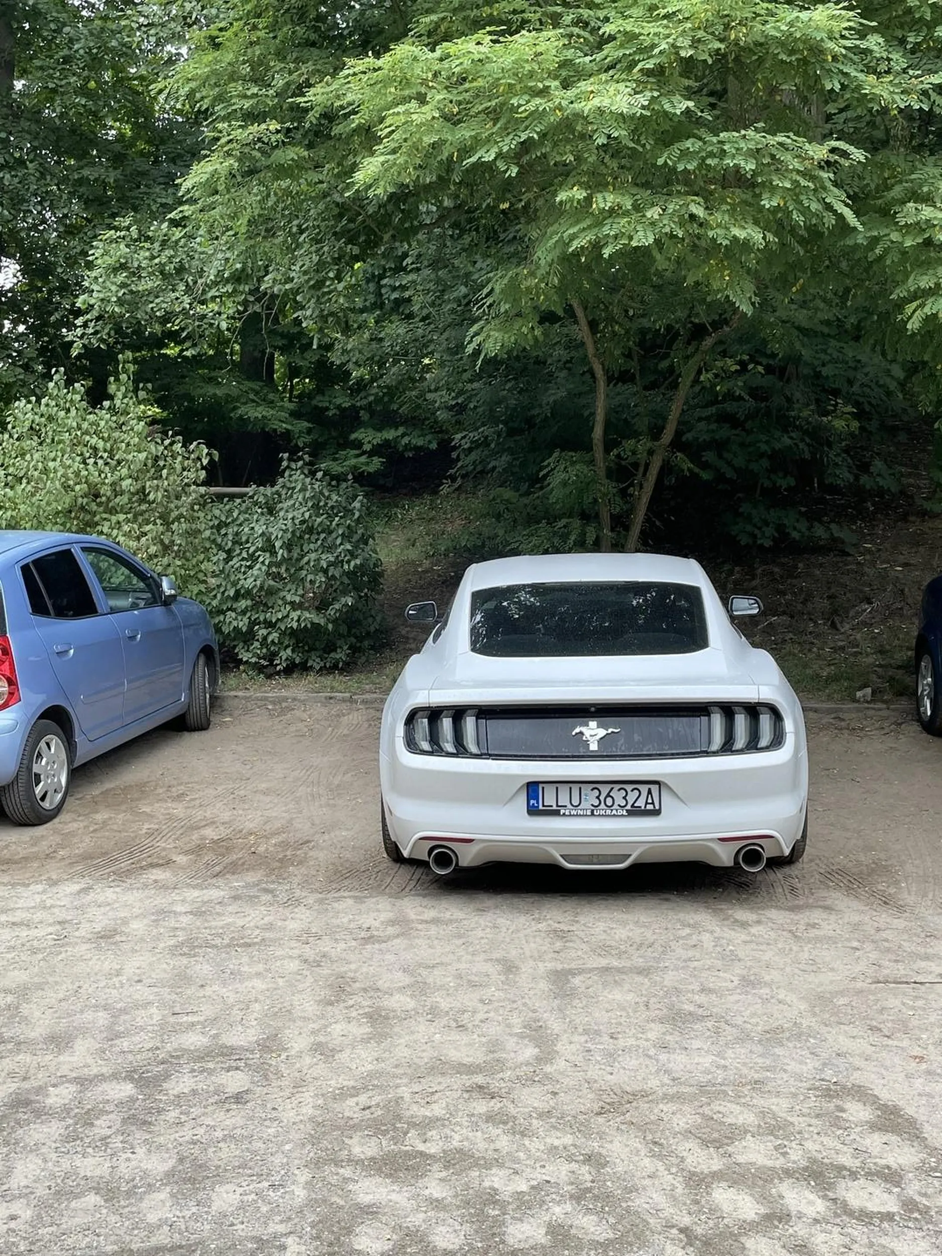 Parkować się proszę nauczyć