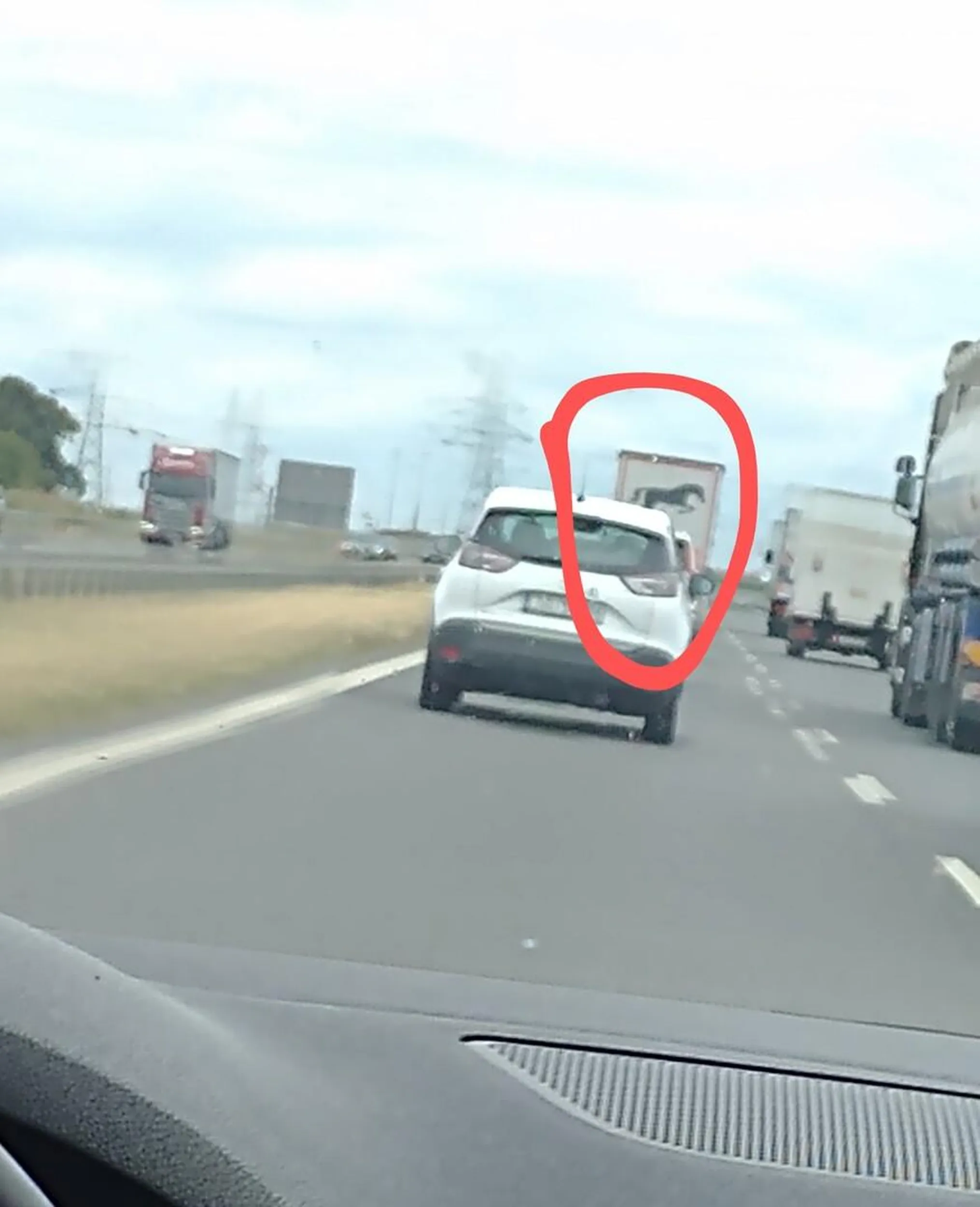 Zapomniałeś że jest zakaz wyprzedzania ciężarówek na dwupasmowej człowieku