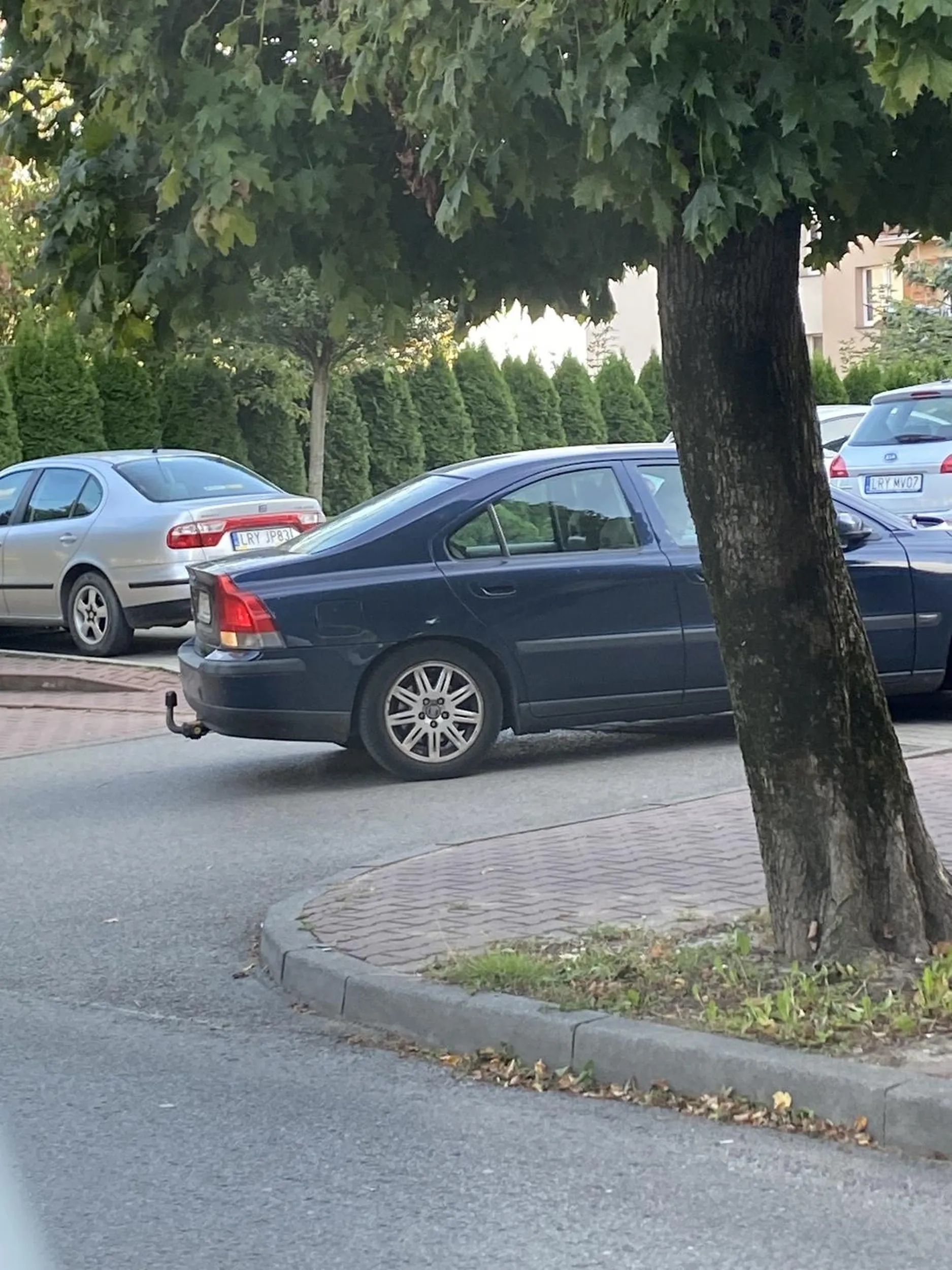 Święta krowa zastawia samochód i jeszcze mówi „musi se Pani jakoś wyjechać”.