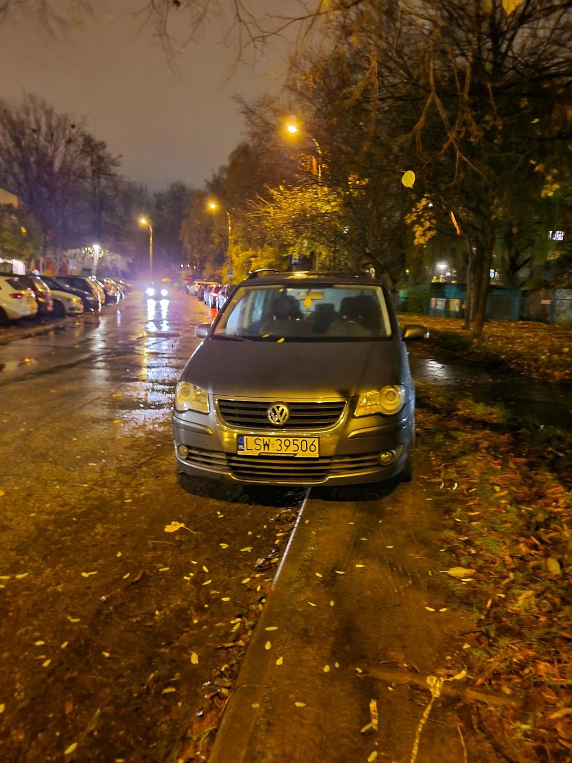 Rozjeździł trawnik