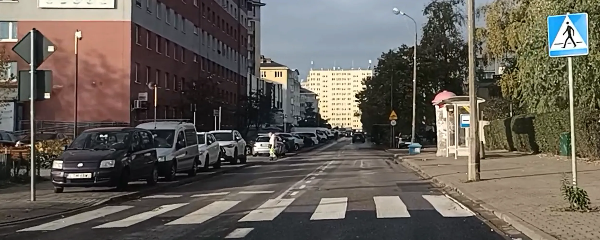 "Niebezpieczne parkowanie przy przejściu dla pieszych" to jego pseudonim.