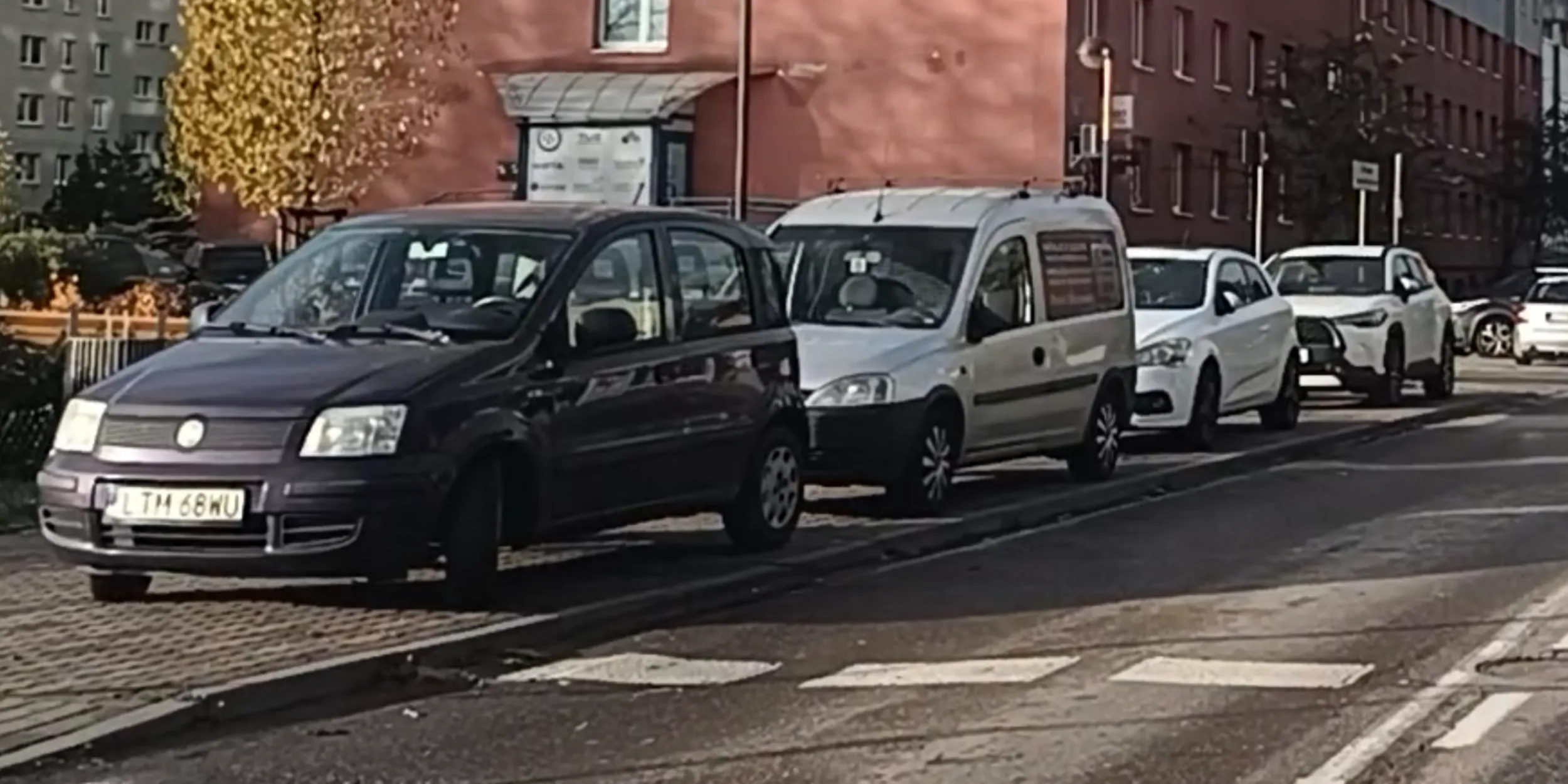 "Niebezpieczne parkowanie przy przejściu dla pieszych" to jego pseudonim.