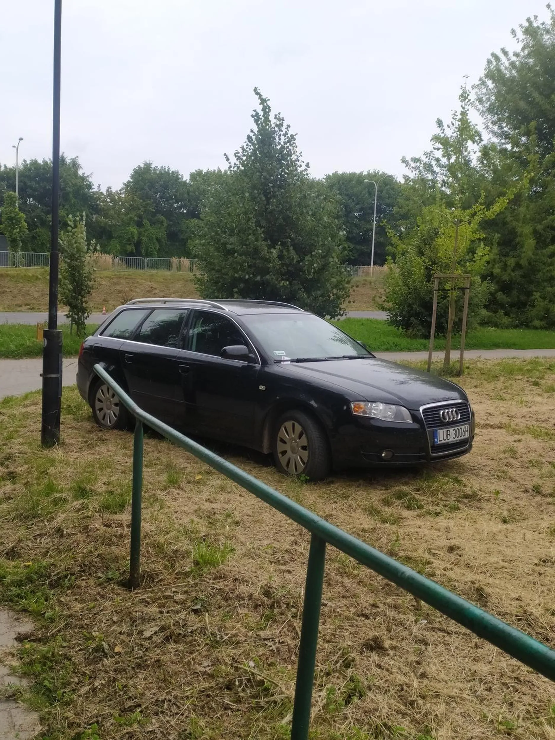 Bydło niszczy trawnik i chodniki pod blokiem, trzeba było pod samym wejściem zaparkować