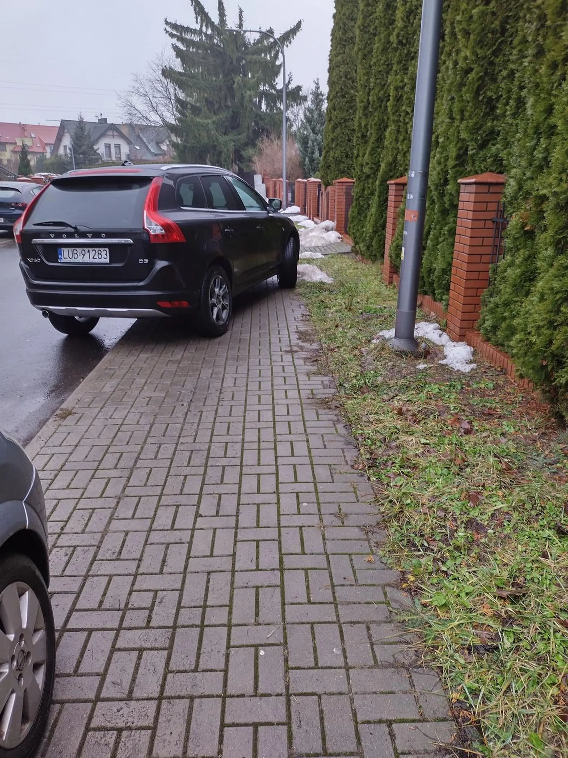 Komentarz zbędny. Prawko z chipsów....?