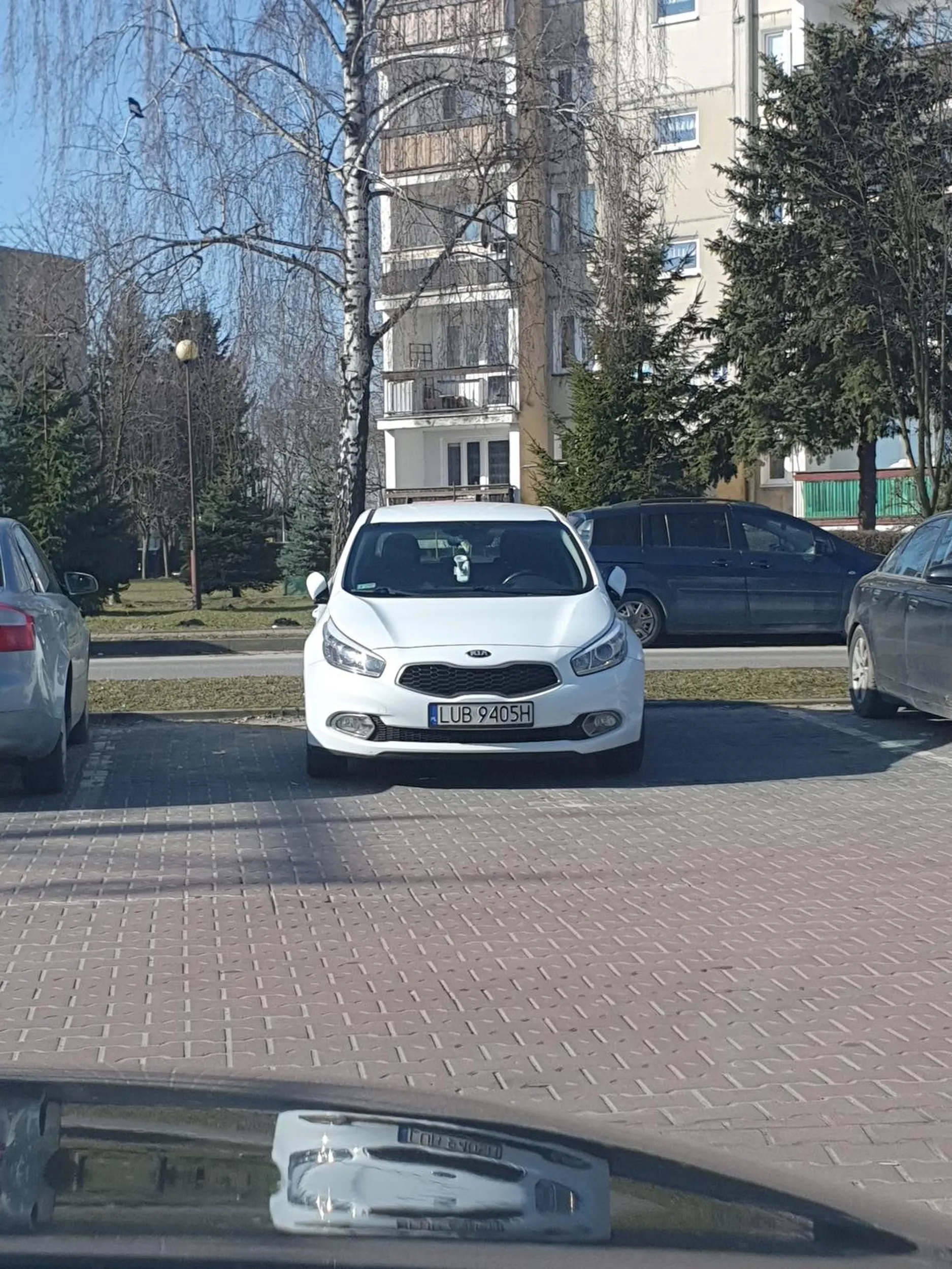 Gratuluje umijetnosci parkowania