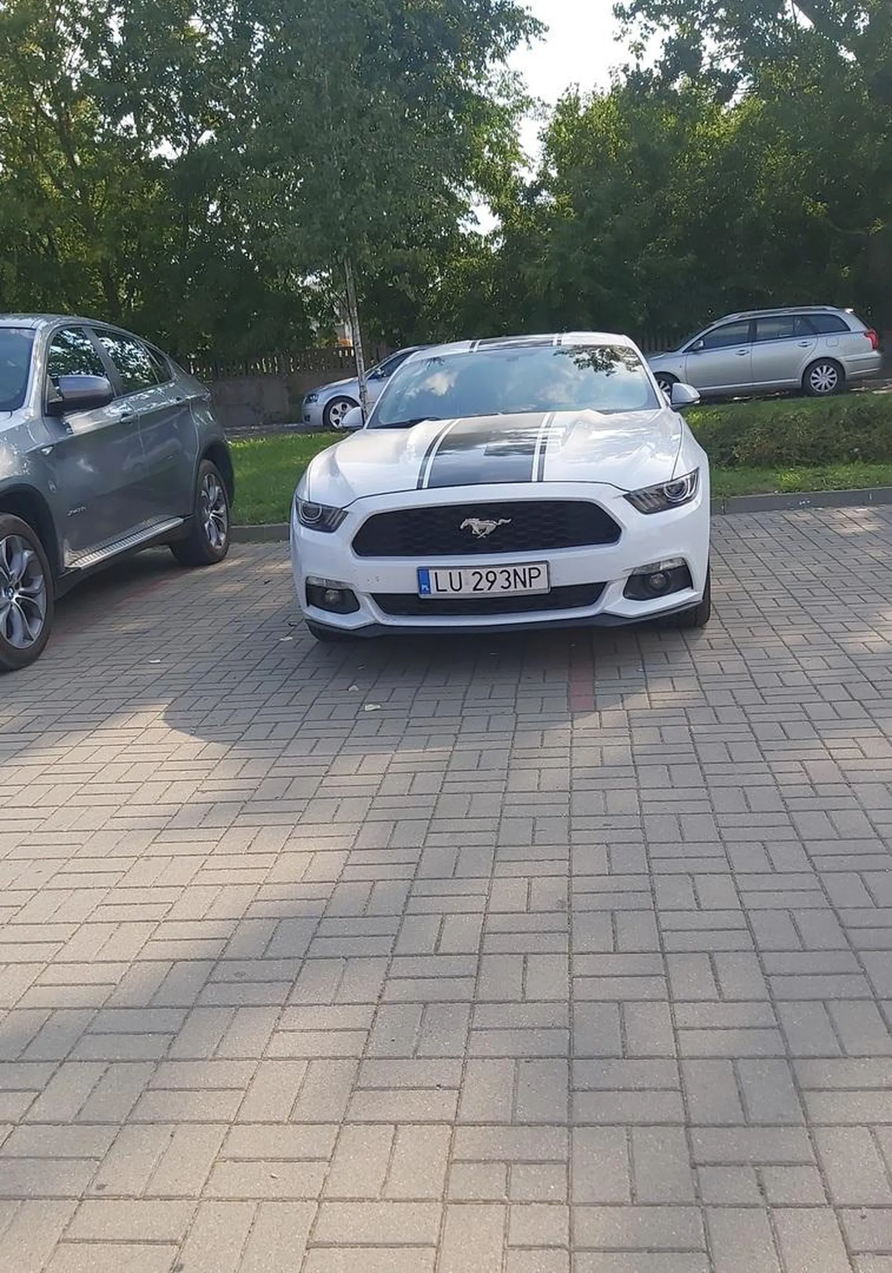 Mustang Nie może sie zmieścić w liniach..