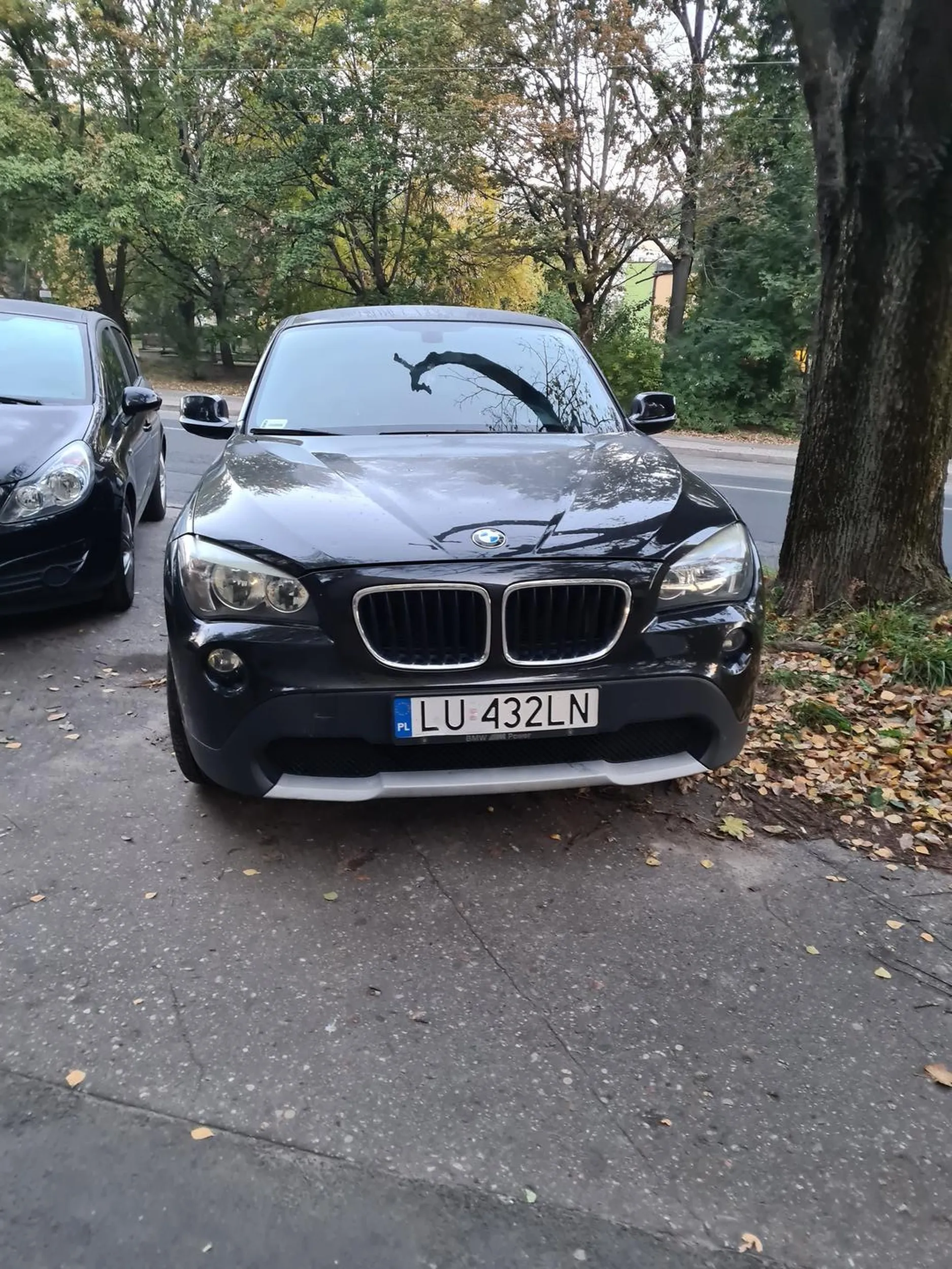 Rozjeżdża trawnik i niszczy korzenie