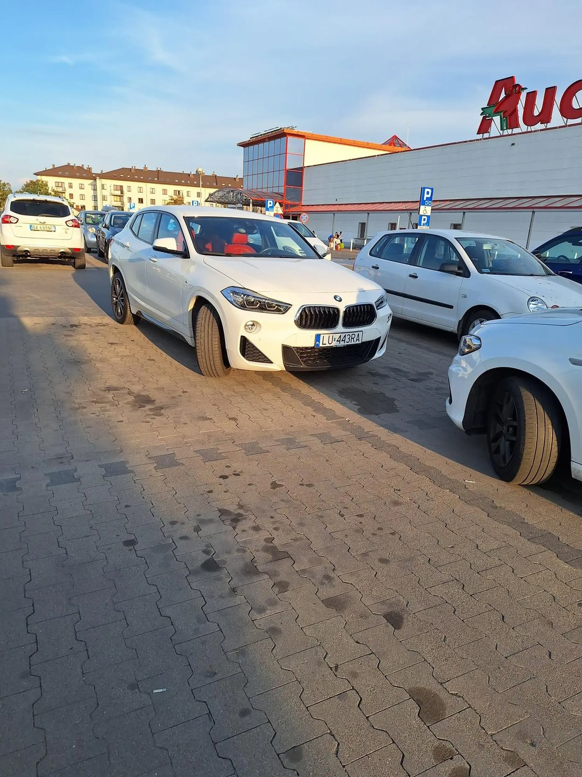 Noc dodać nic ująć święta krowa