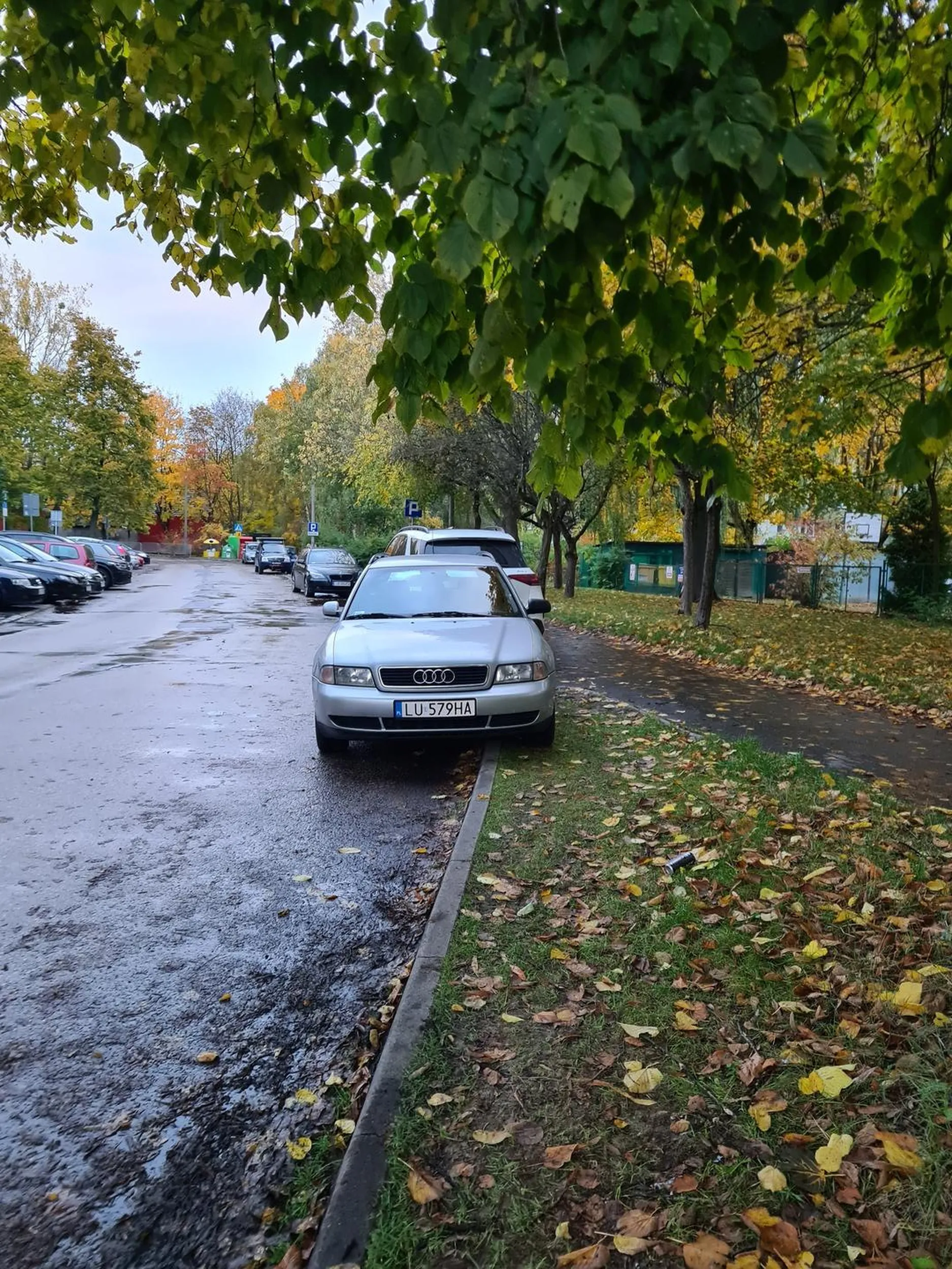 Rozjeżdża dopiero co naprawiony trawnik