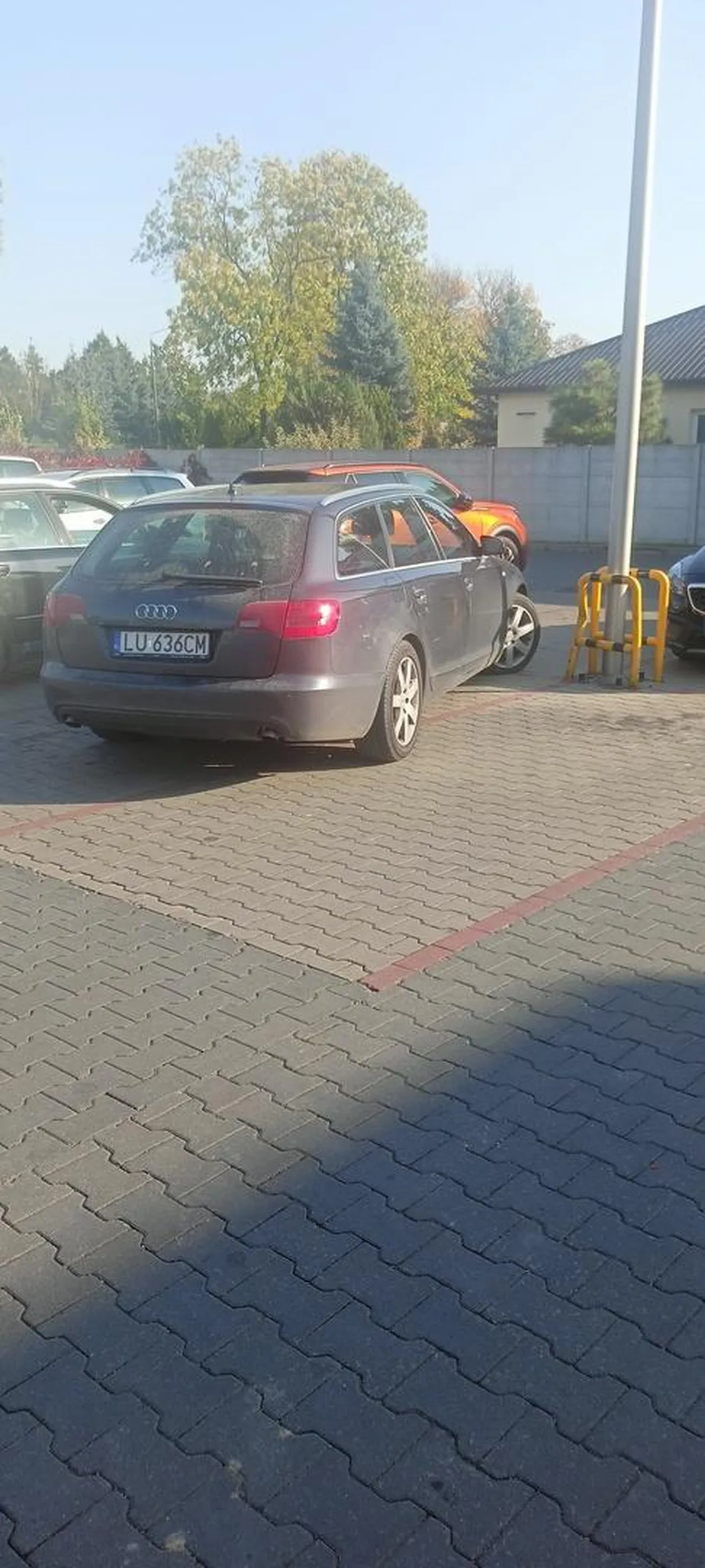 Prawo jazdy wygrane w cheeatosach