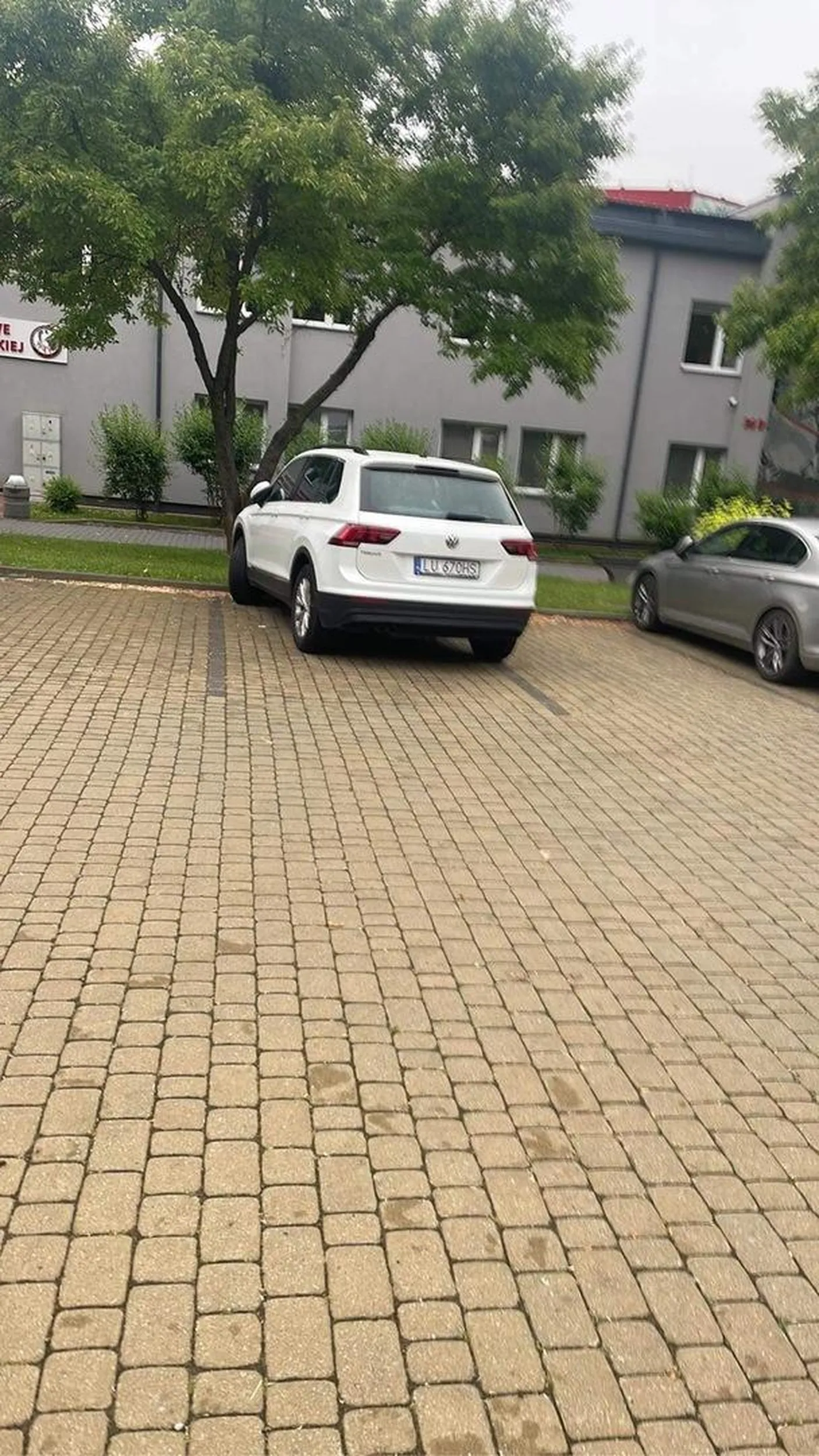 Człowieku naucz się parkować