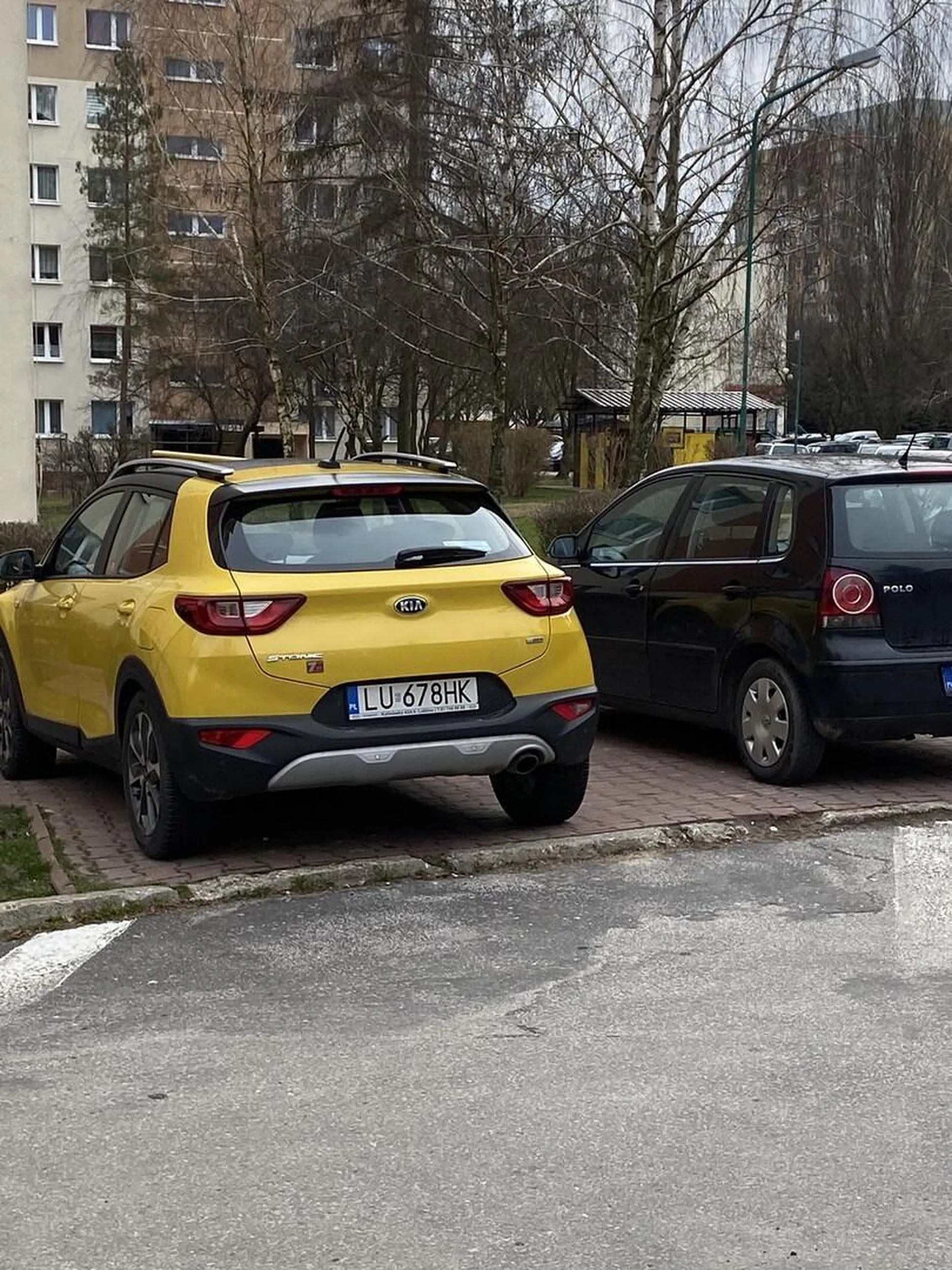 Mistrz parkowania na przejściu dla pieszych