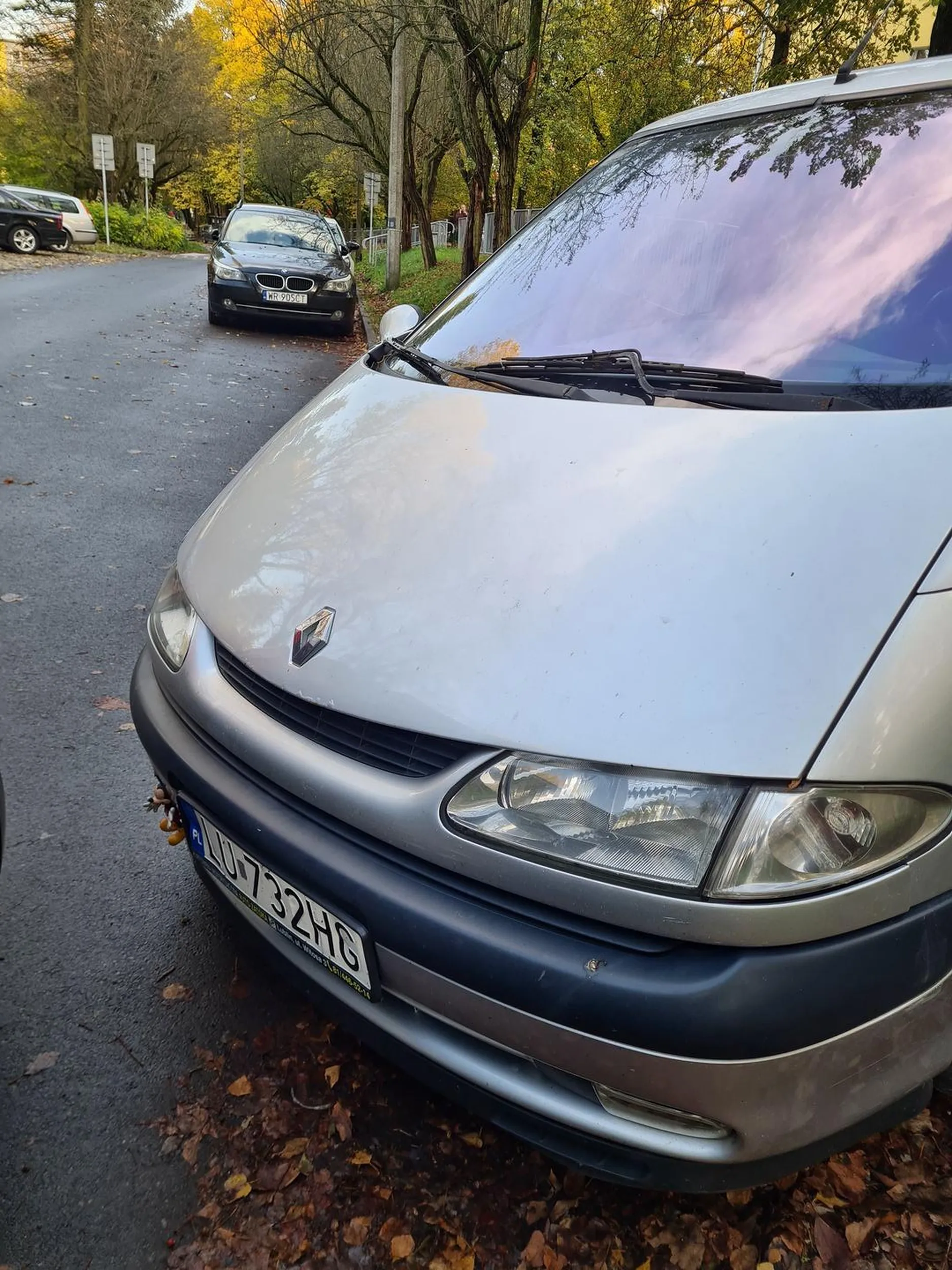 Parkuje na trawie i zastawia prawidłowo zaparkowane auta