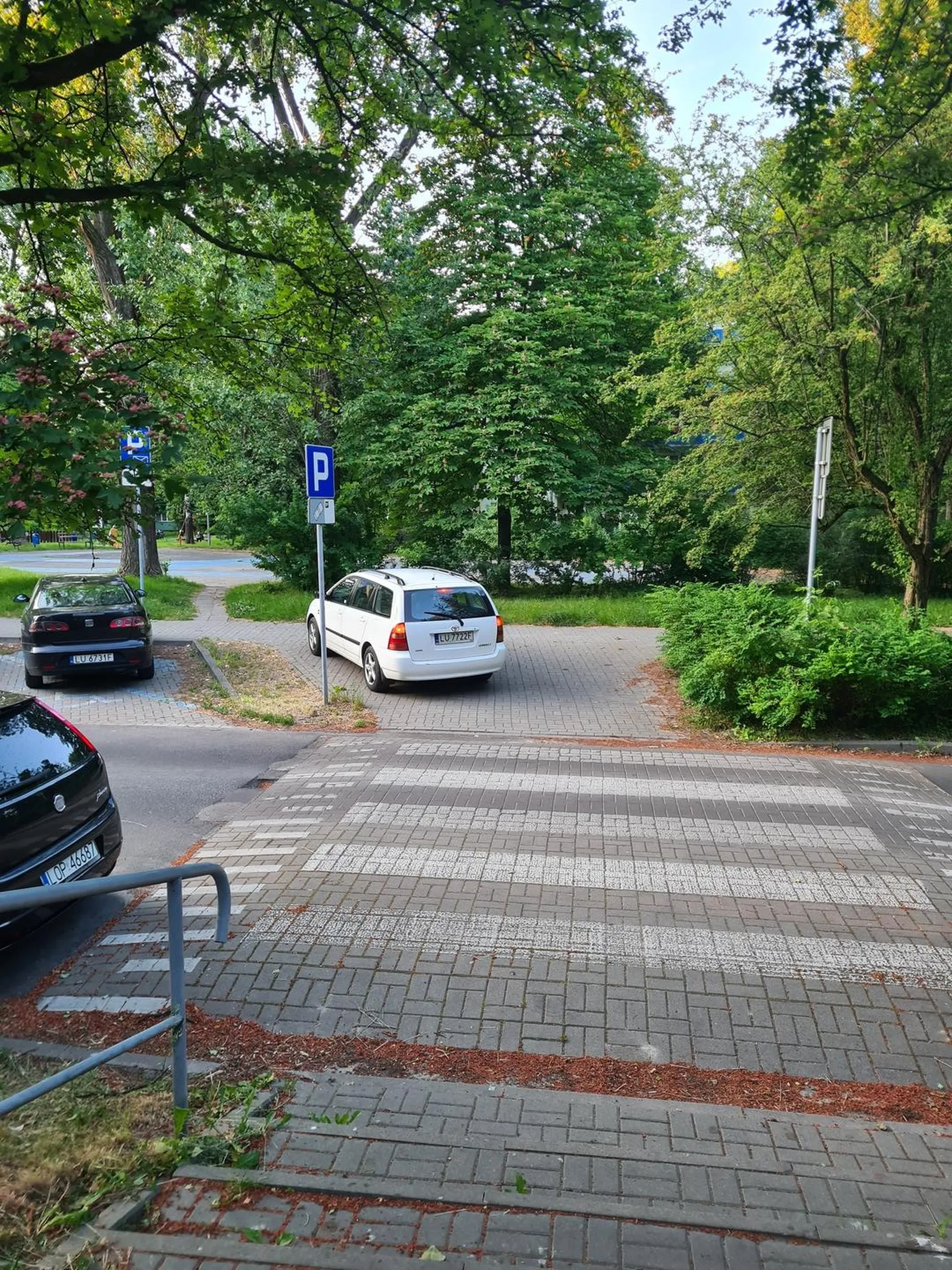 Jeździ po przejściu ignorant