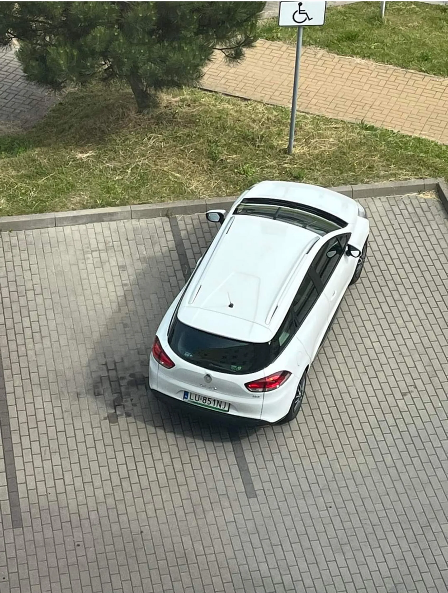 Pała nie kierowca...