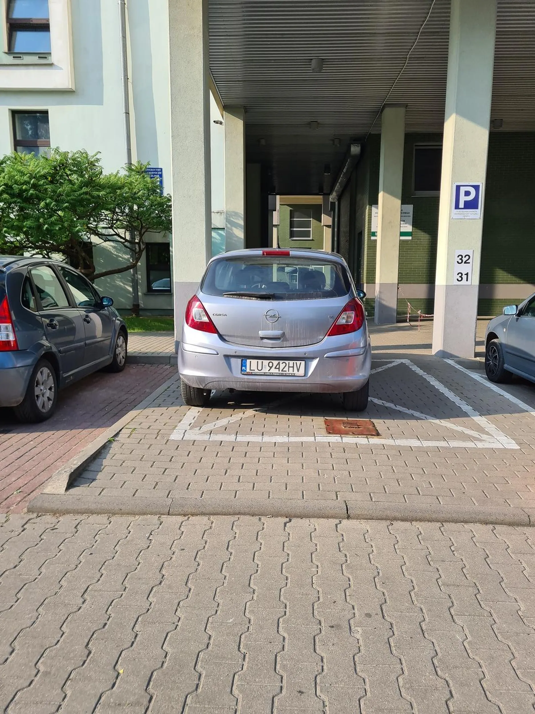 Wjedź do środka bezmózgu