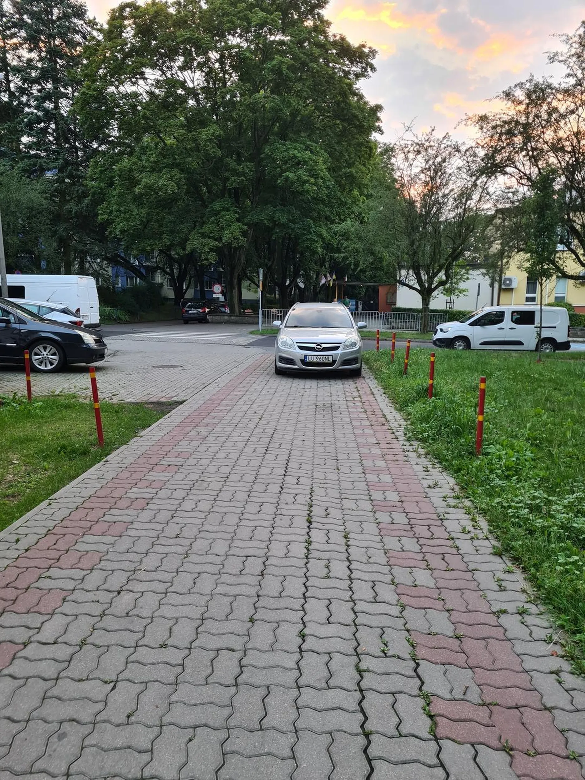 Chodniczek jezdniczek