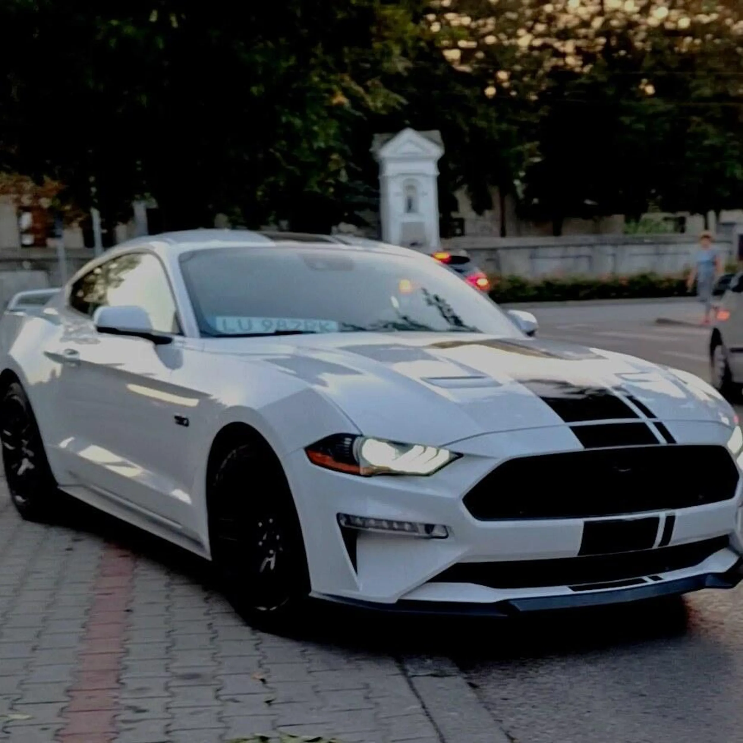 Właściciel szefito