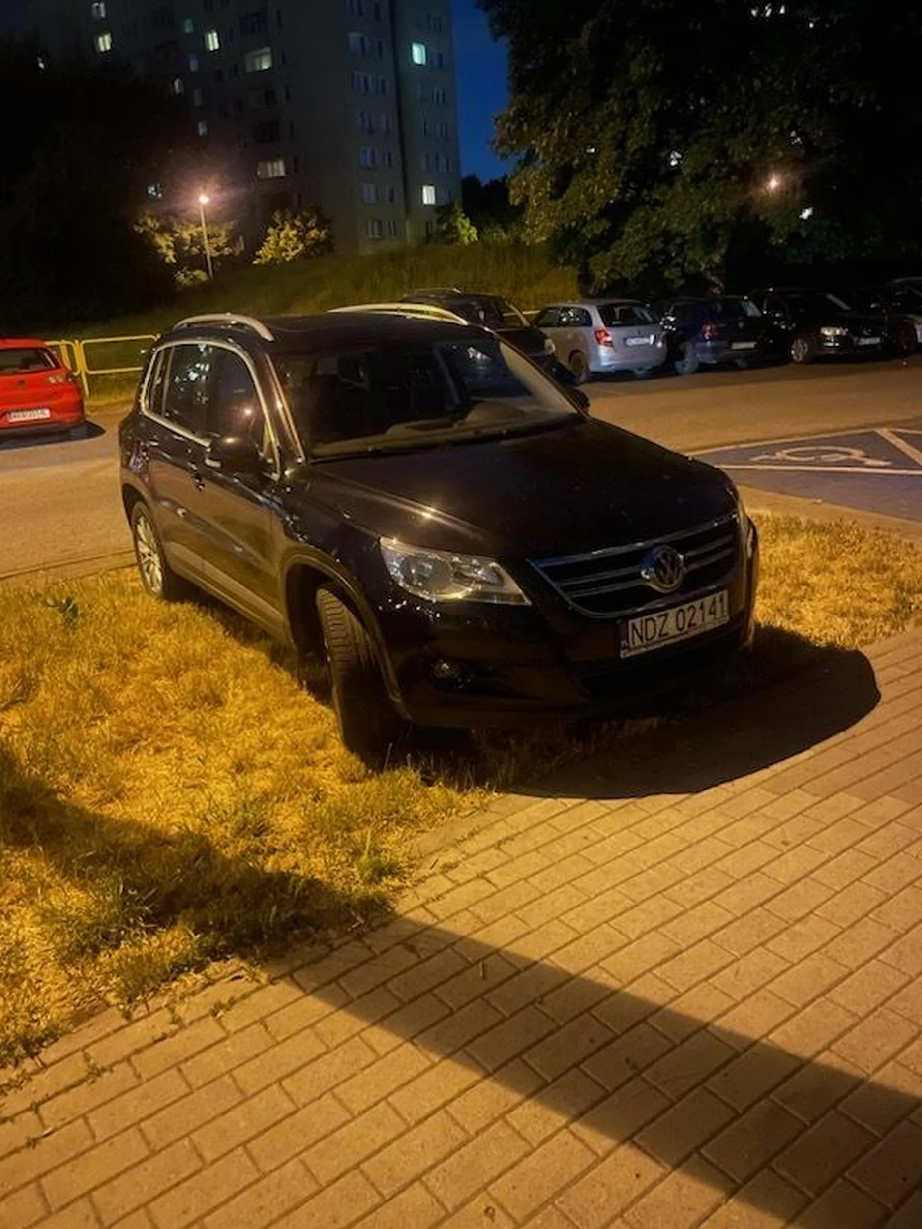 Baran, parkuje na trawniku