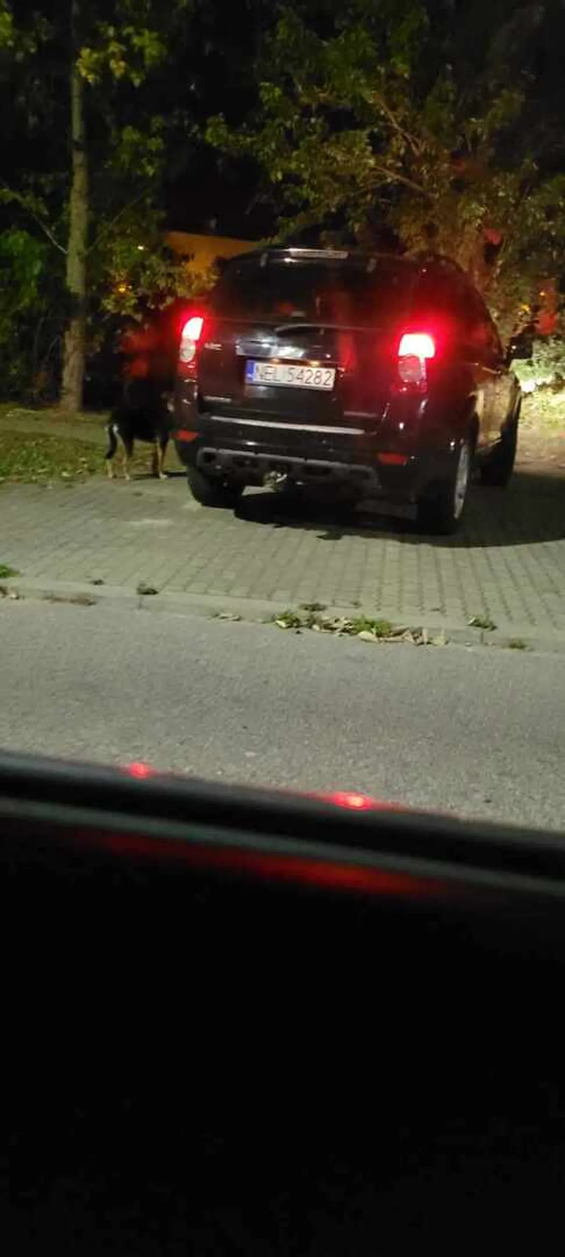 Ten człowiek wyrzucił psa na parkingu. Jak odjechał to pies pobiegł za nim. Kiedy się zorientował, że jest śledzony zatrzymał się i zabrał psa do auta. Próby zabrania psa były nieudolne, pies się wymykał w pogoni za autem właściciela. Trzeba tępić takie zachowanie!