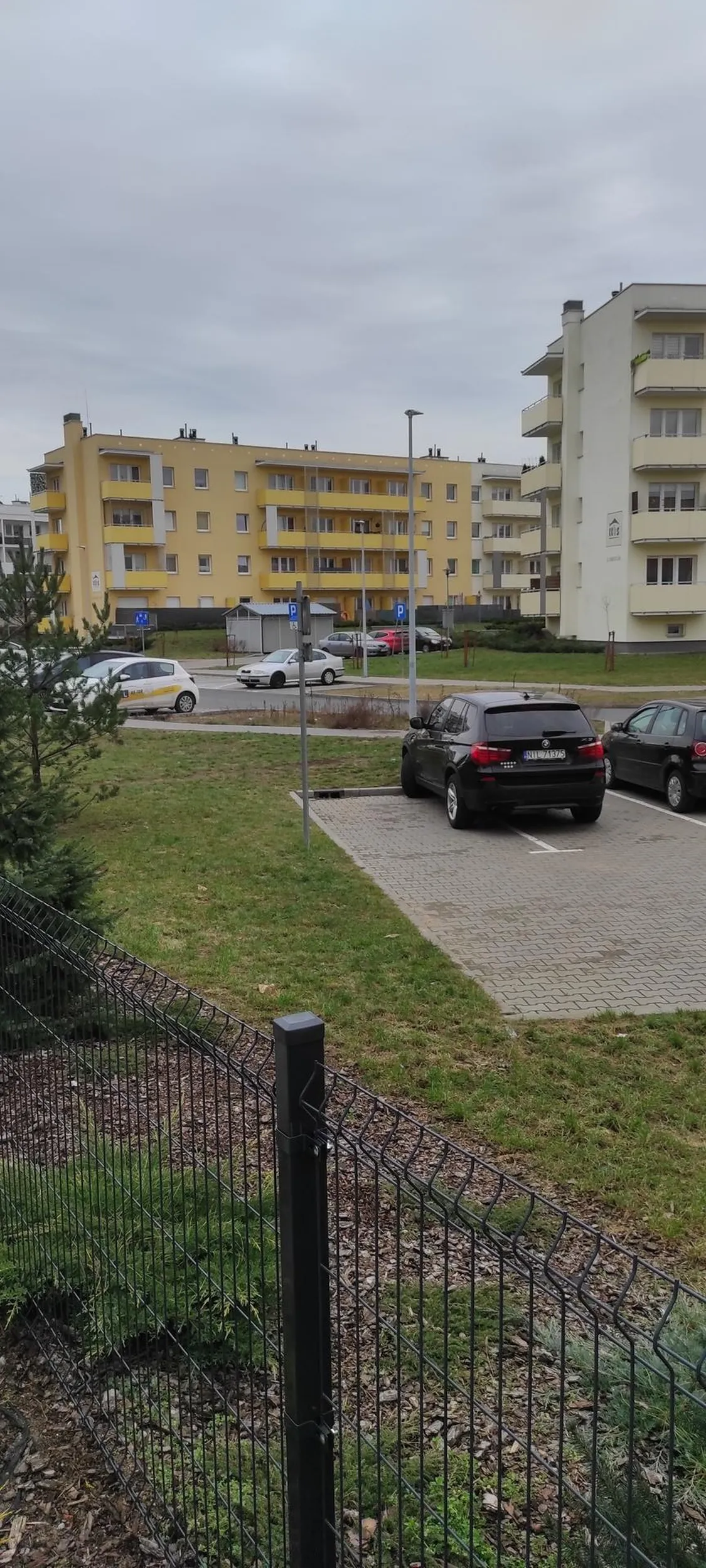 Kiedy IQ odpowiada stylowi parkowania ;)