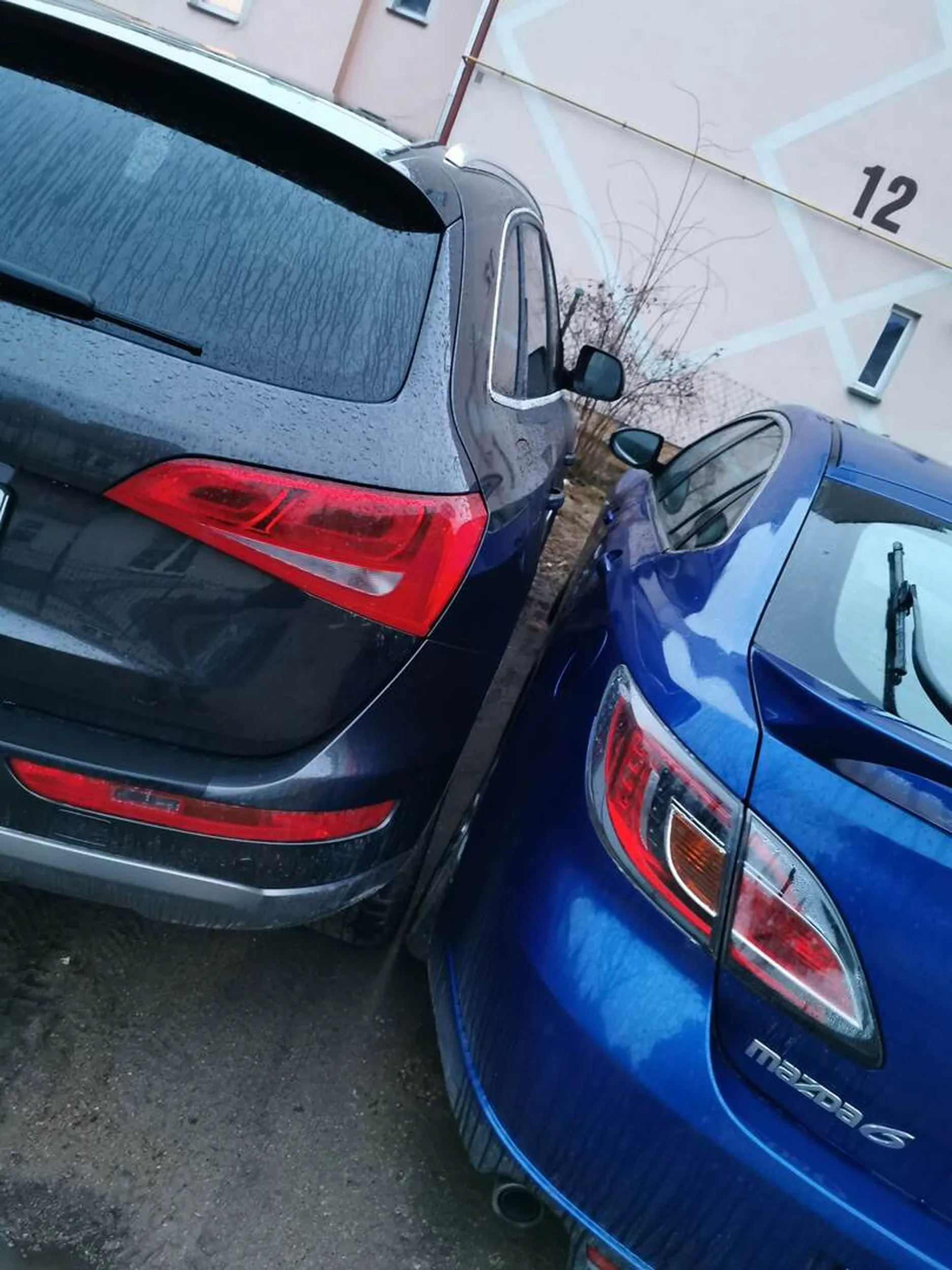 Sąsiad z kałdi, który zastawia za każdym razem moje auto, jeśli zajmę miejsce, na którym on zawsze parkuje, a miejsce nie jest jego i jeszcze ma czelność przychodzić z pretensjami do mnie i szczekać, że mu miejsce zajmuje xD Sąsiad to typowy janusz z wąsem, który sie przypierdala do wszystkich