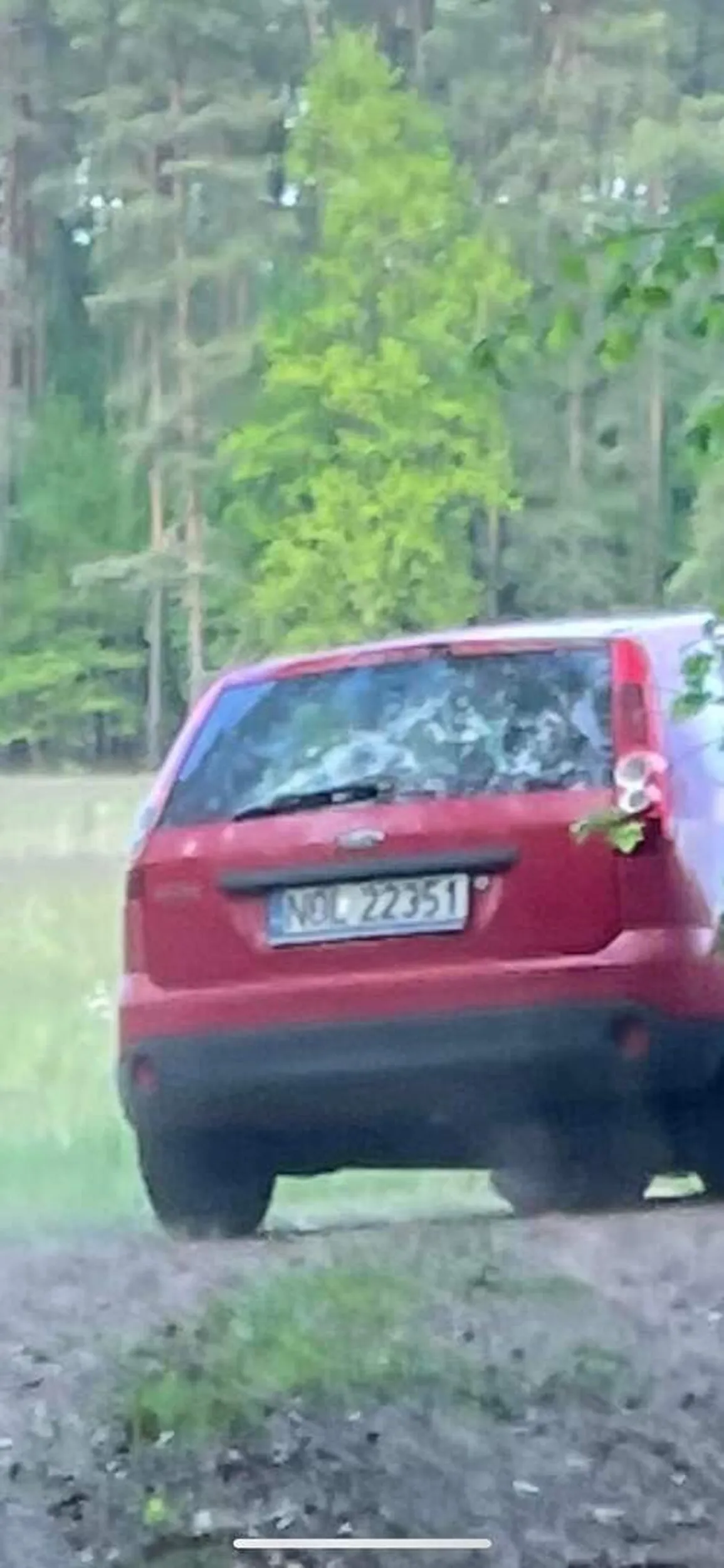 Z auta o tych numerach zostały wyrzucone dwa szczeniaki. Barczewko